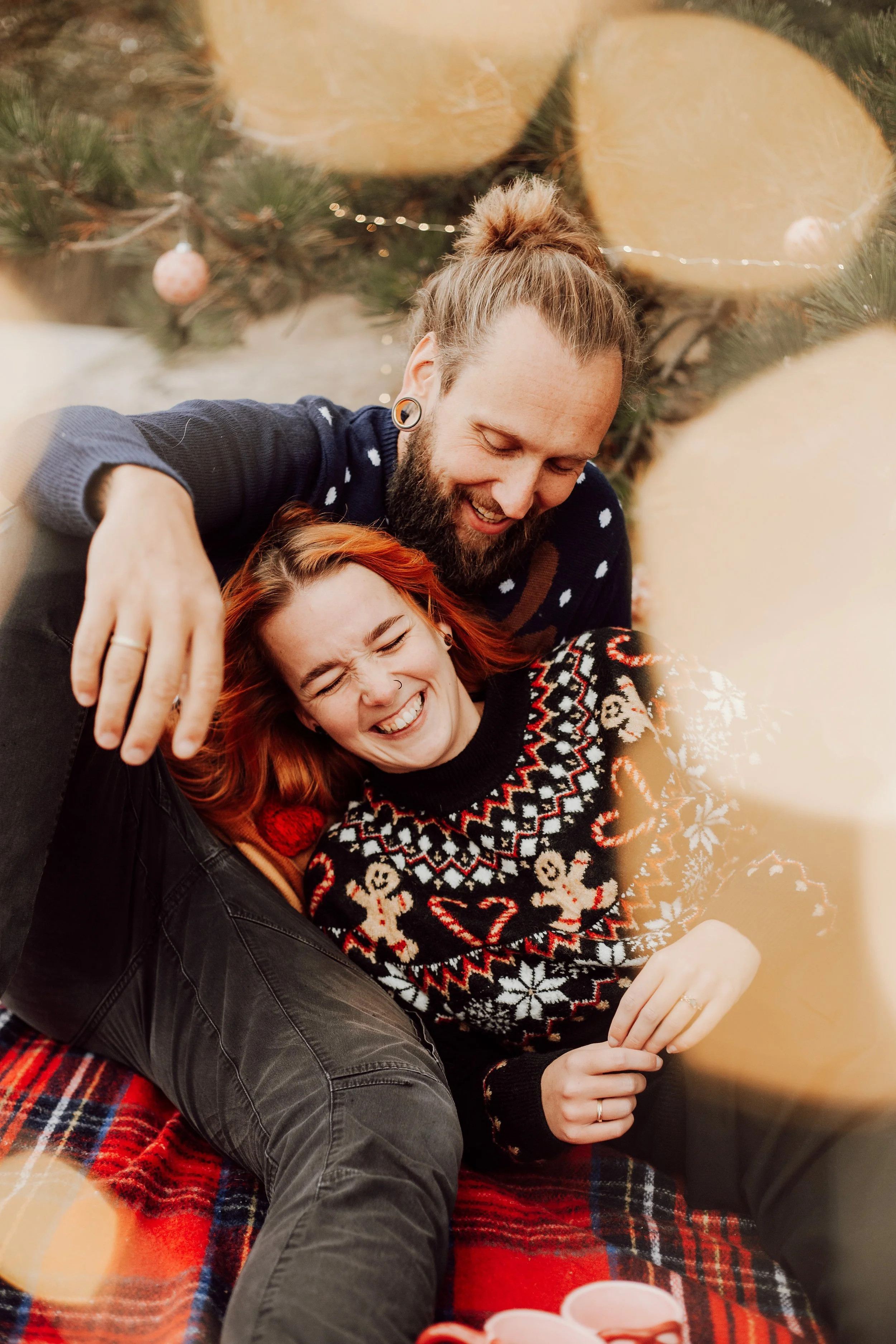 Kerstminishoot in de natuur, Schouwen-Duiveland, Zeeland