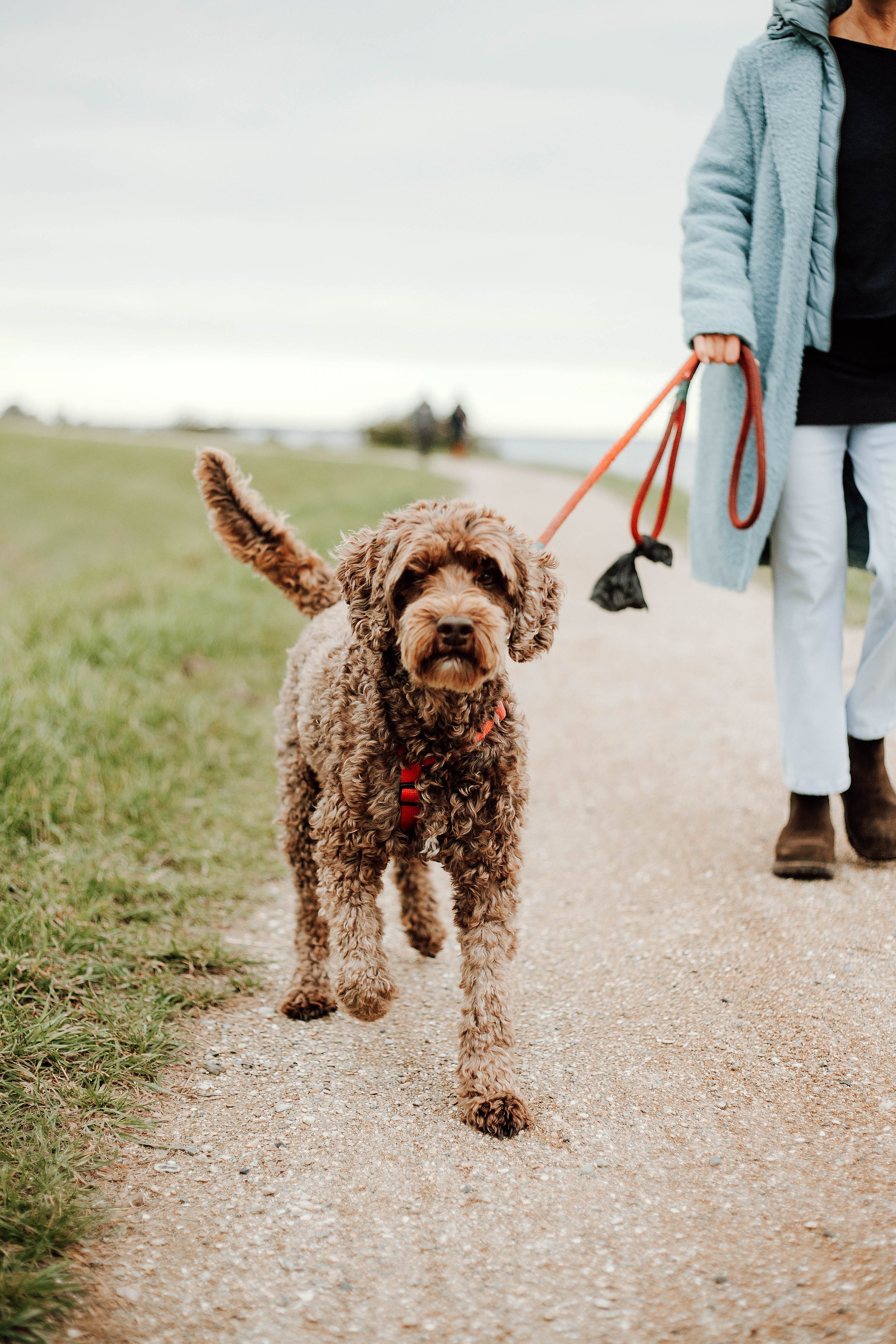 Fotografie voor ondernemers, Camping Noordernieuwland, Brouwershaven