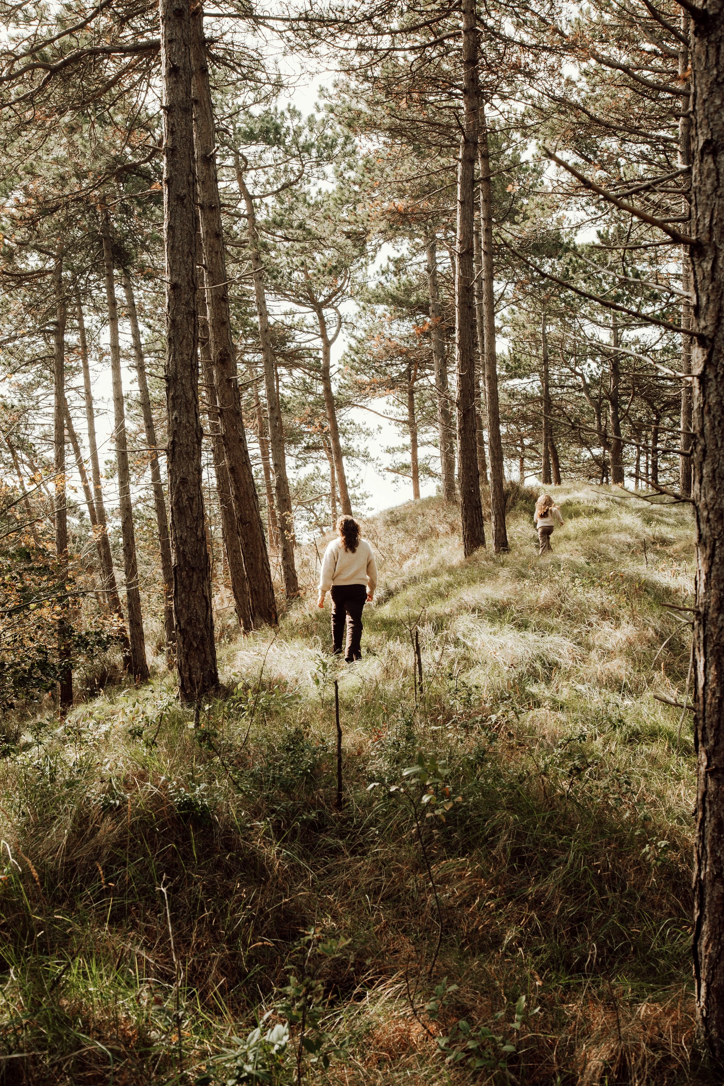 Two people walking through a forested area with tall trees and grassy terrain.