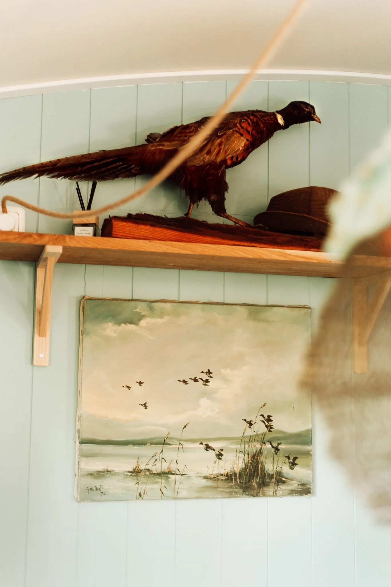 01Cabin_CampingZilt_CynthiaHanse_19.jpg