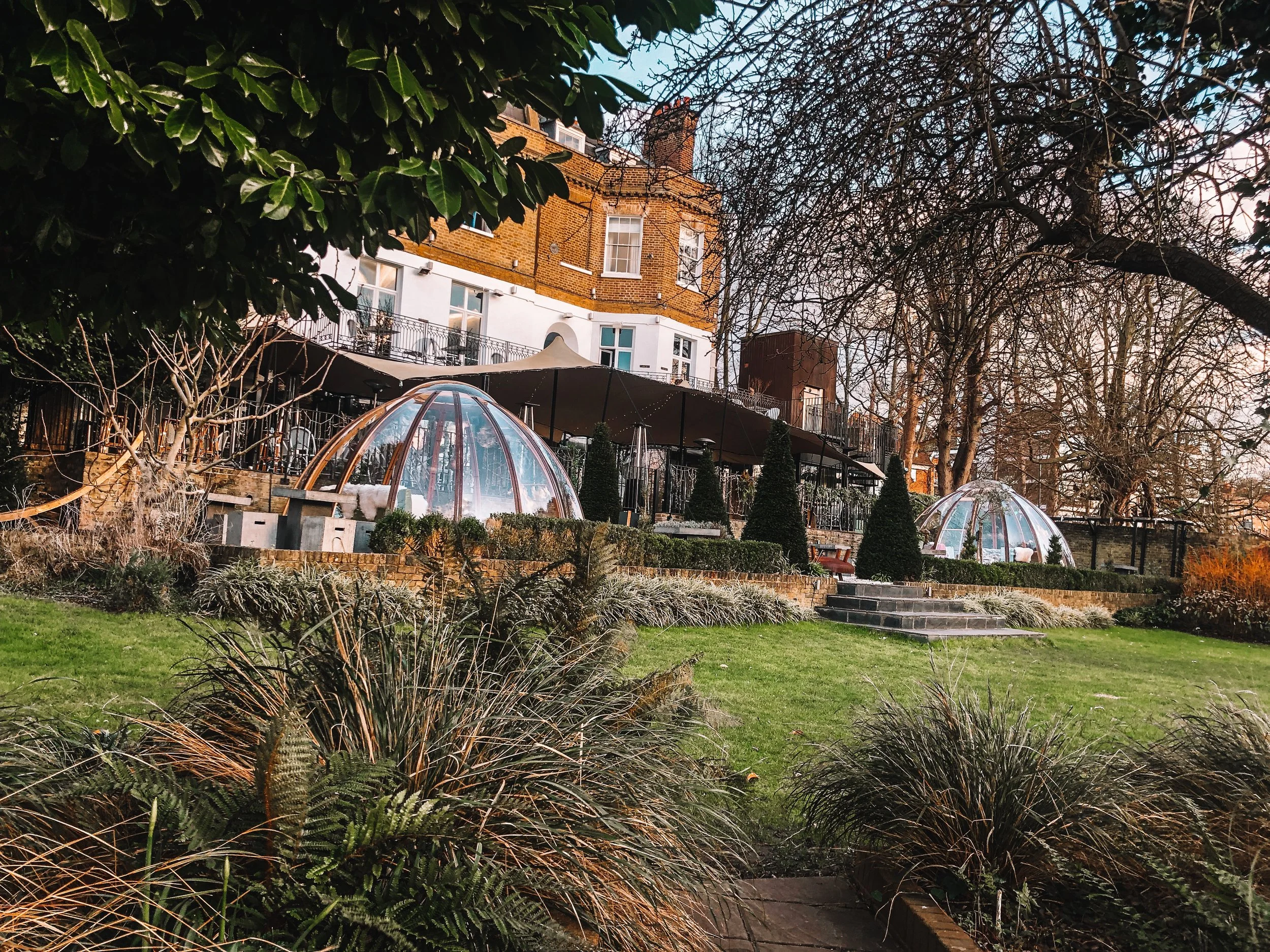 A backyard garden with a lawn, plants, and trees with bare branches. In the background, there is a multi-story brick house with white windows and a terrace with umbrellas.