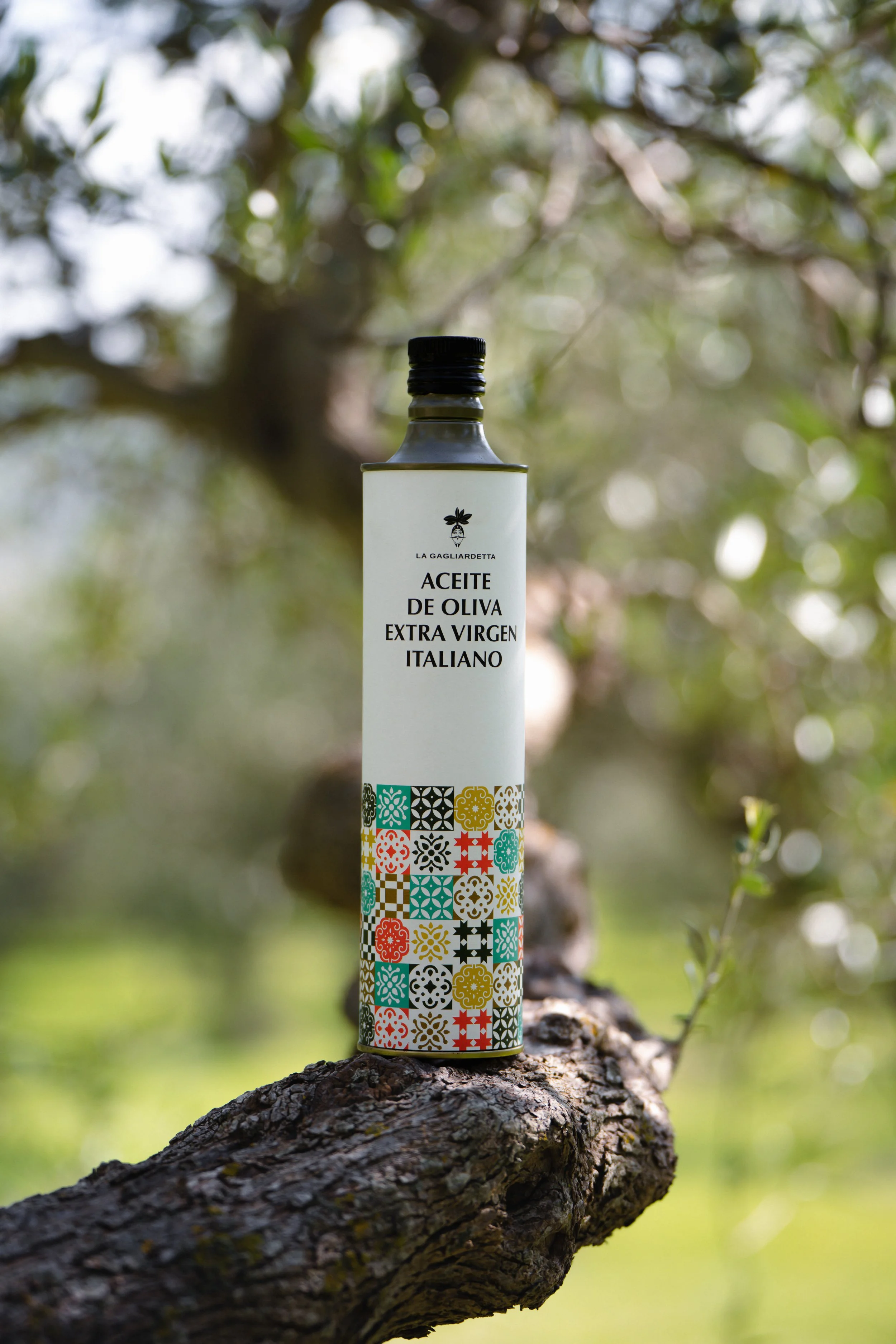 Bottiglia di olio extravergine di oliva italiano appoggiata su un ramo di albero in un ambiente naturale.