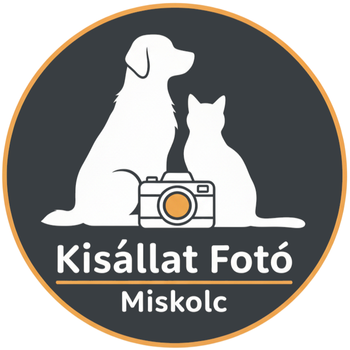 Kisállat Fotó Miskolc