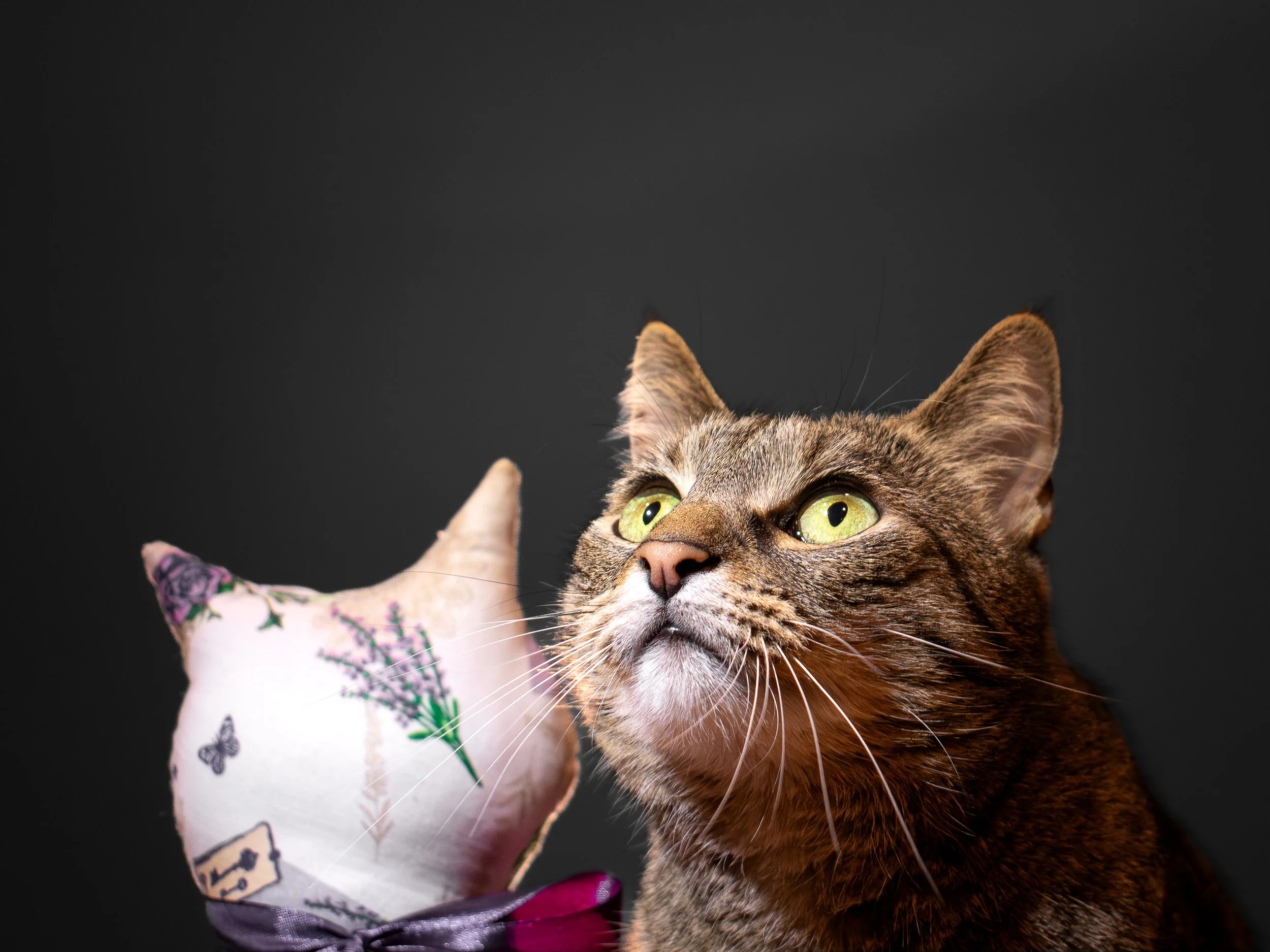 A close-up of a brown tabby cat with green eyes, looking upward, with a pink decorative pillow with lavender flowers and a butterfly design behind it.