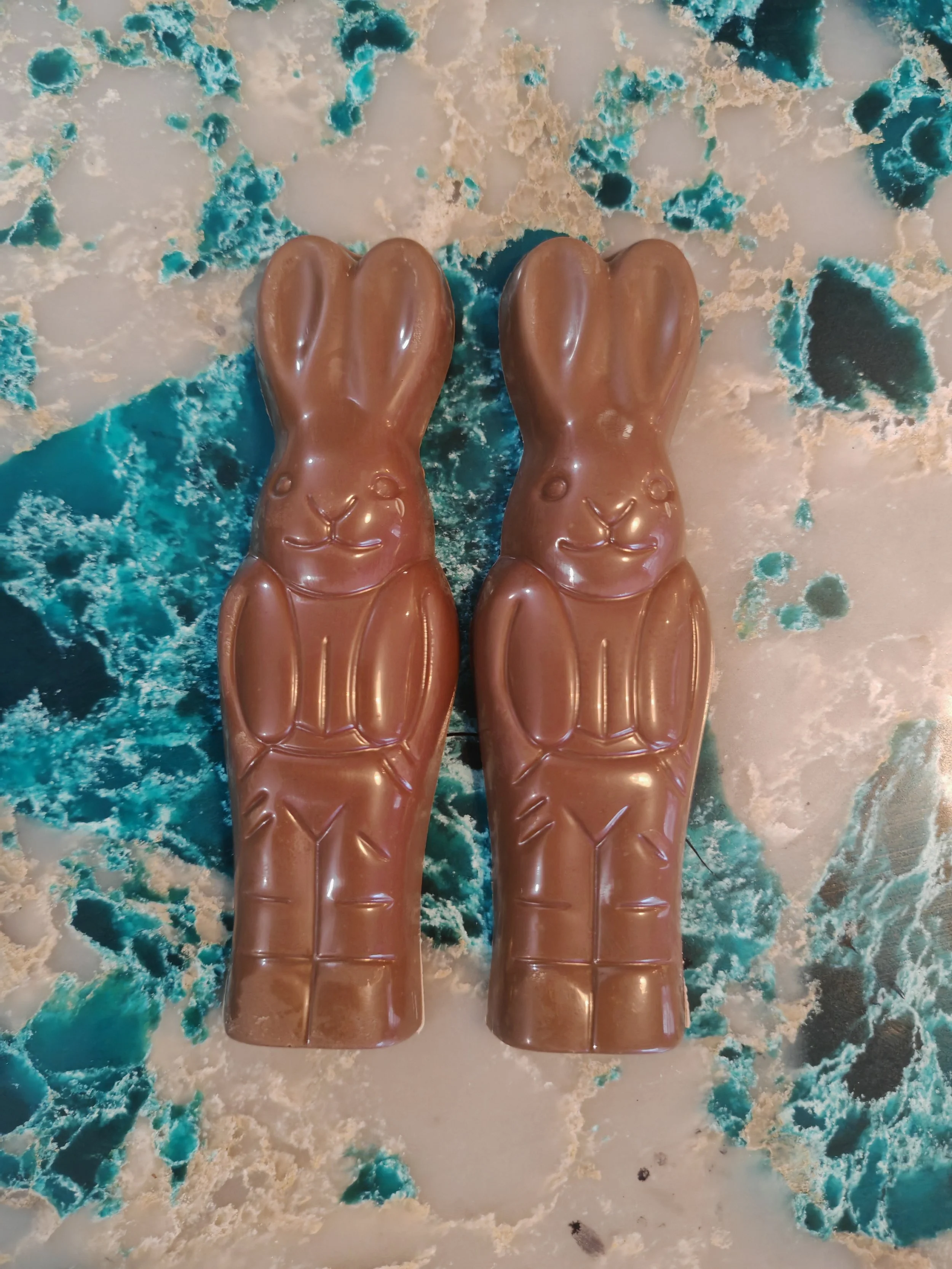 Chocolate Bunnies