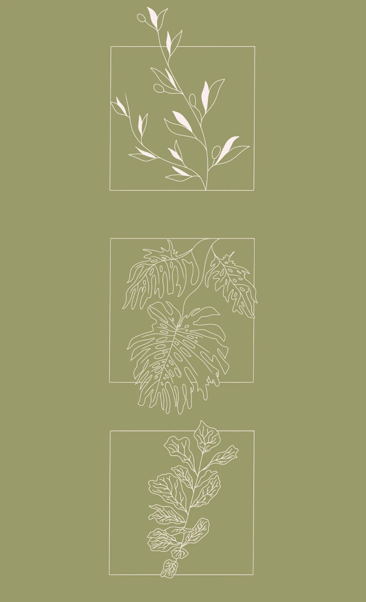 The Botanical Collection