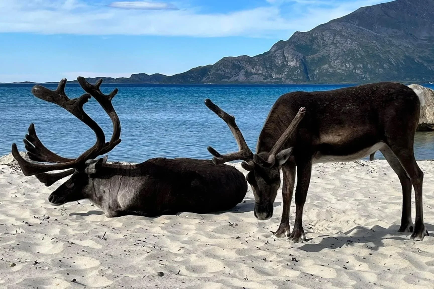 Emma's Arctic Circle Cruise - Tromso, Norway