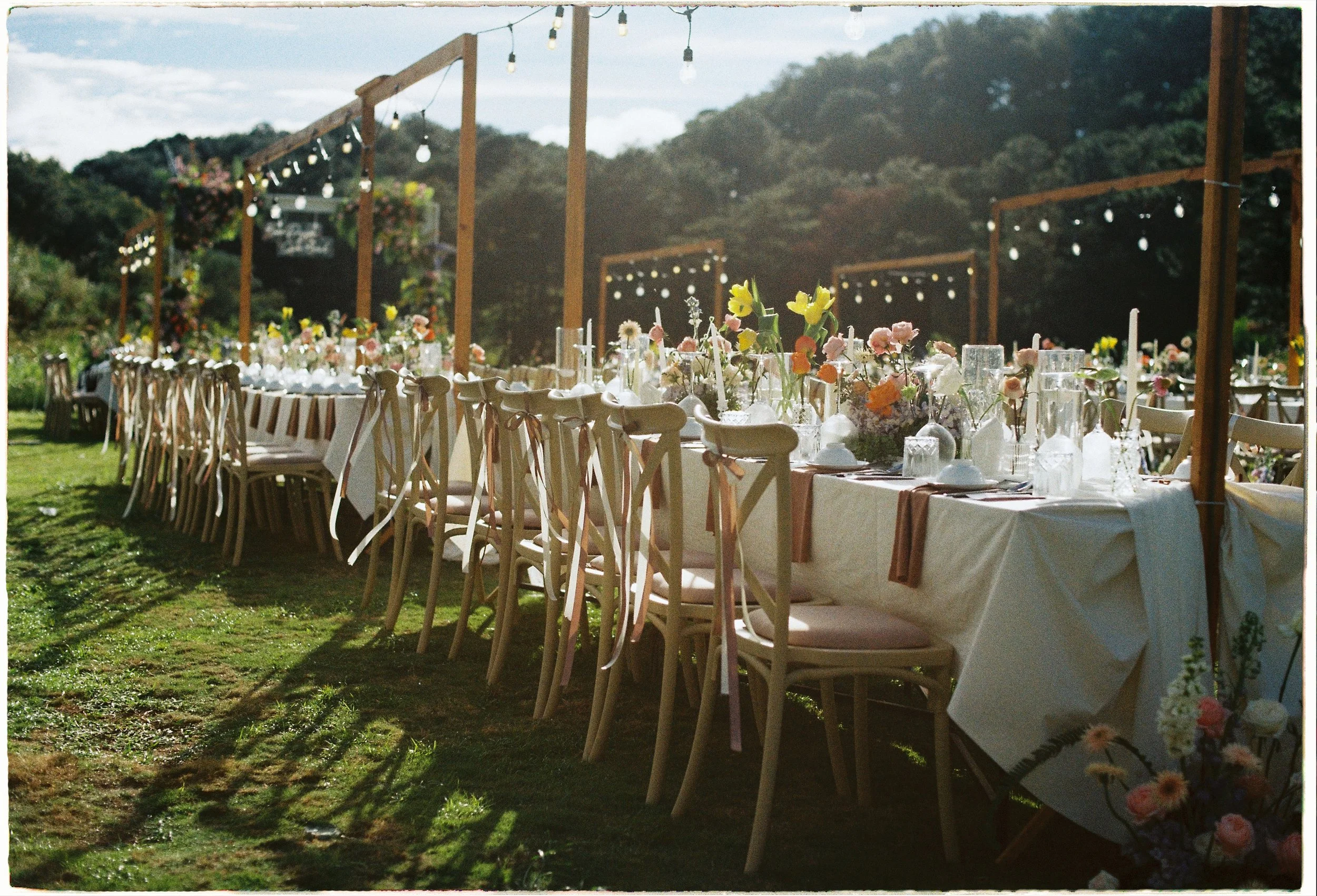 film 35mm 66.JPG
