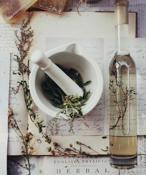 Herbal medicine setup with a mortar and pestle, dried herbs, and a glass vial containing dried herbs submerged in liquid.