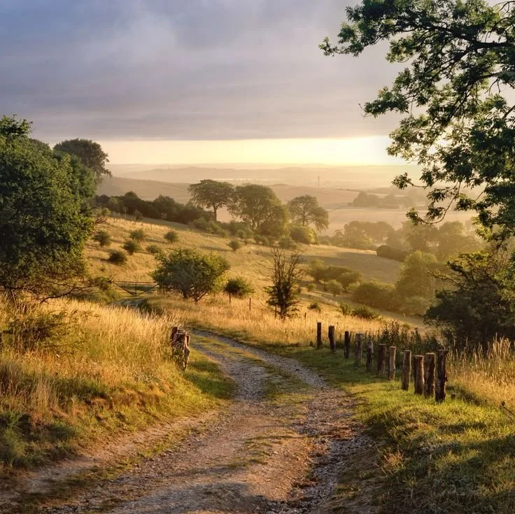 A dirt country road winding through green and golden fields with trees, fences, and rolling hills under a cloudy sky at sunset or sunrise.