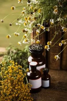 Herbal medicine and book on wooden table background by JanPietruszka Vectors & Illustrations  with Unlimited Downloads - Yayimages.jpeg