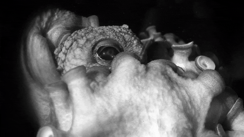 When Photography Begins to Move