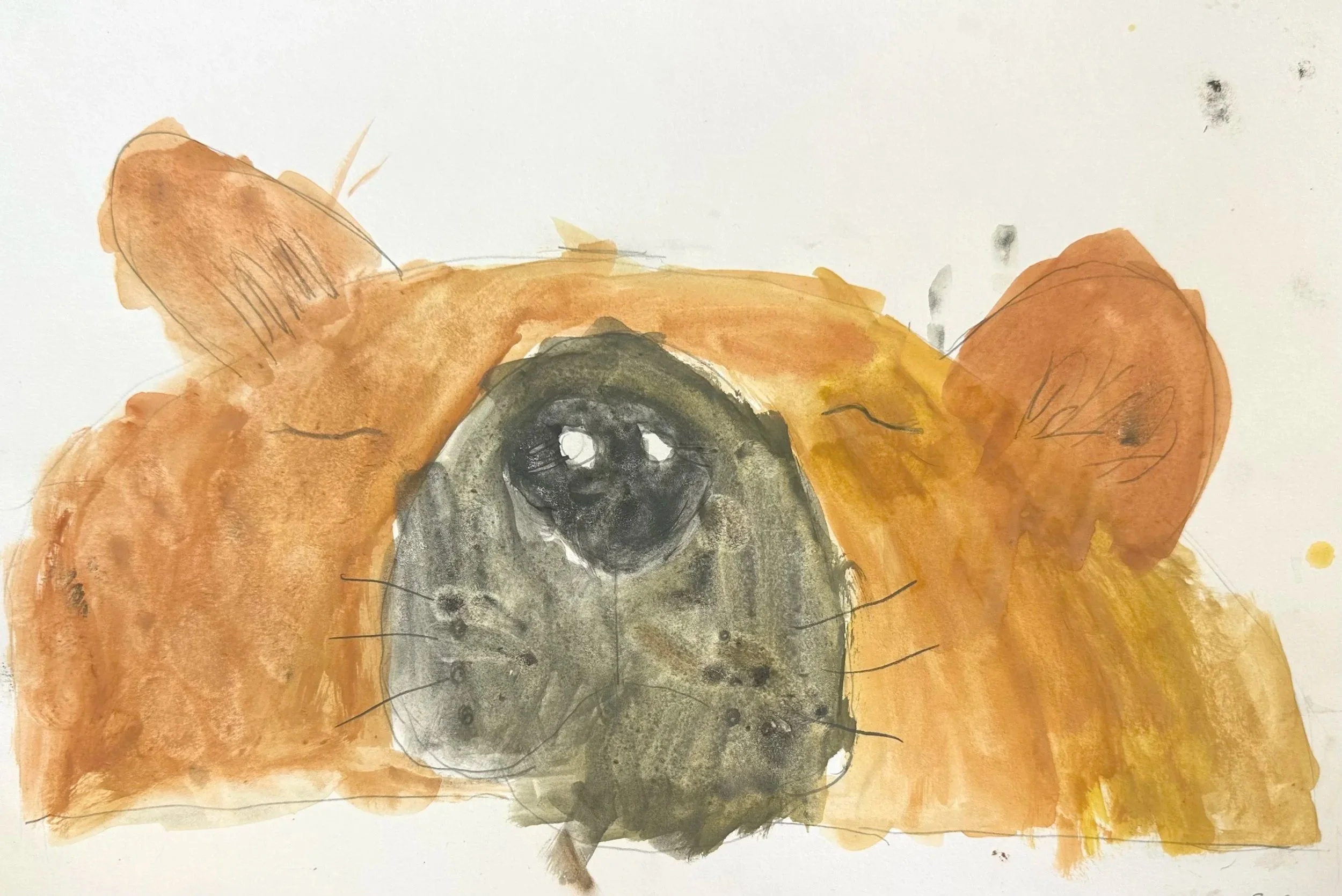 Elsa 7 år