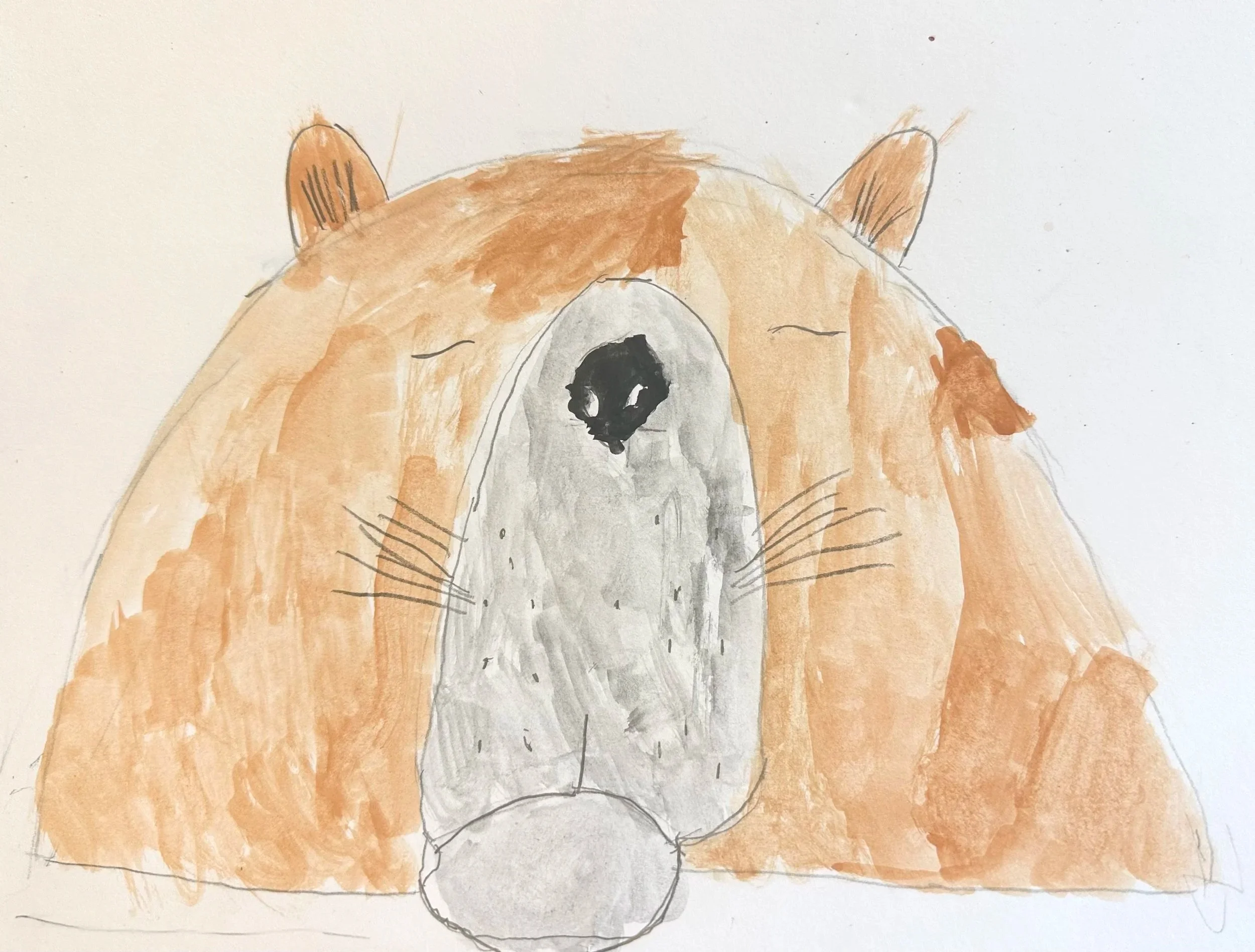 Leo 9 år