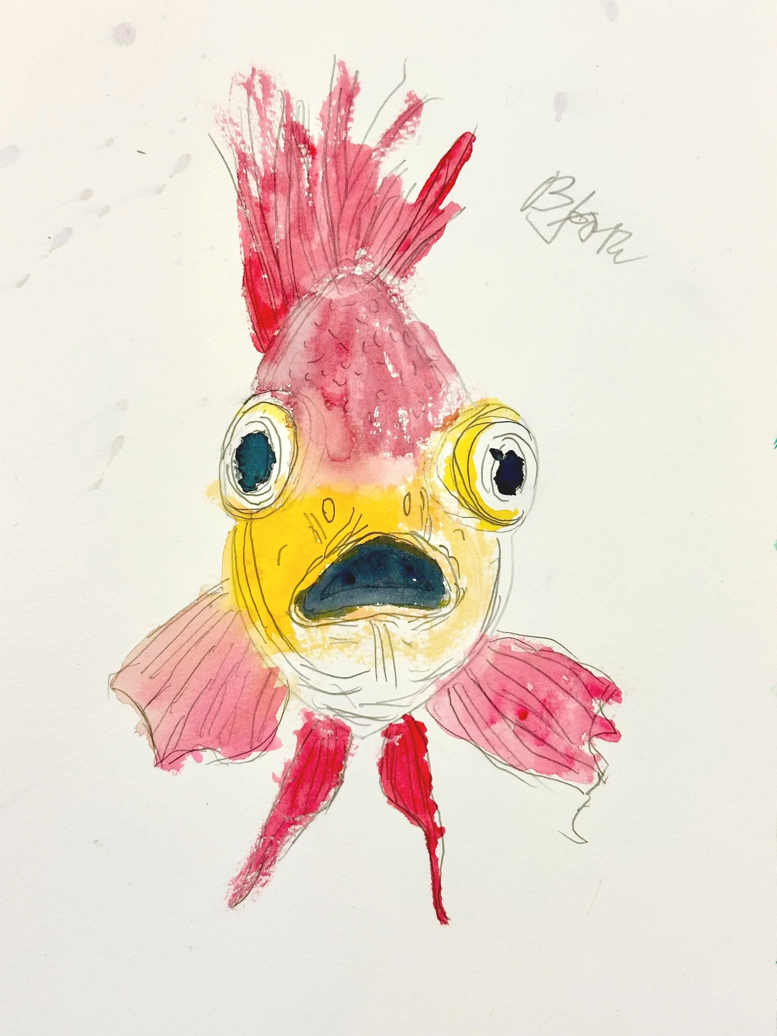Bjørn 8 år