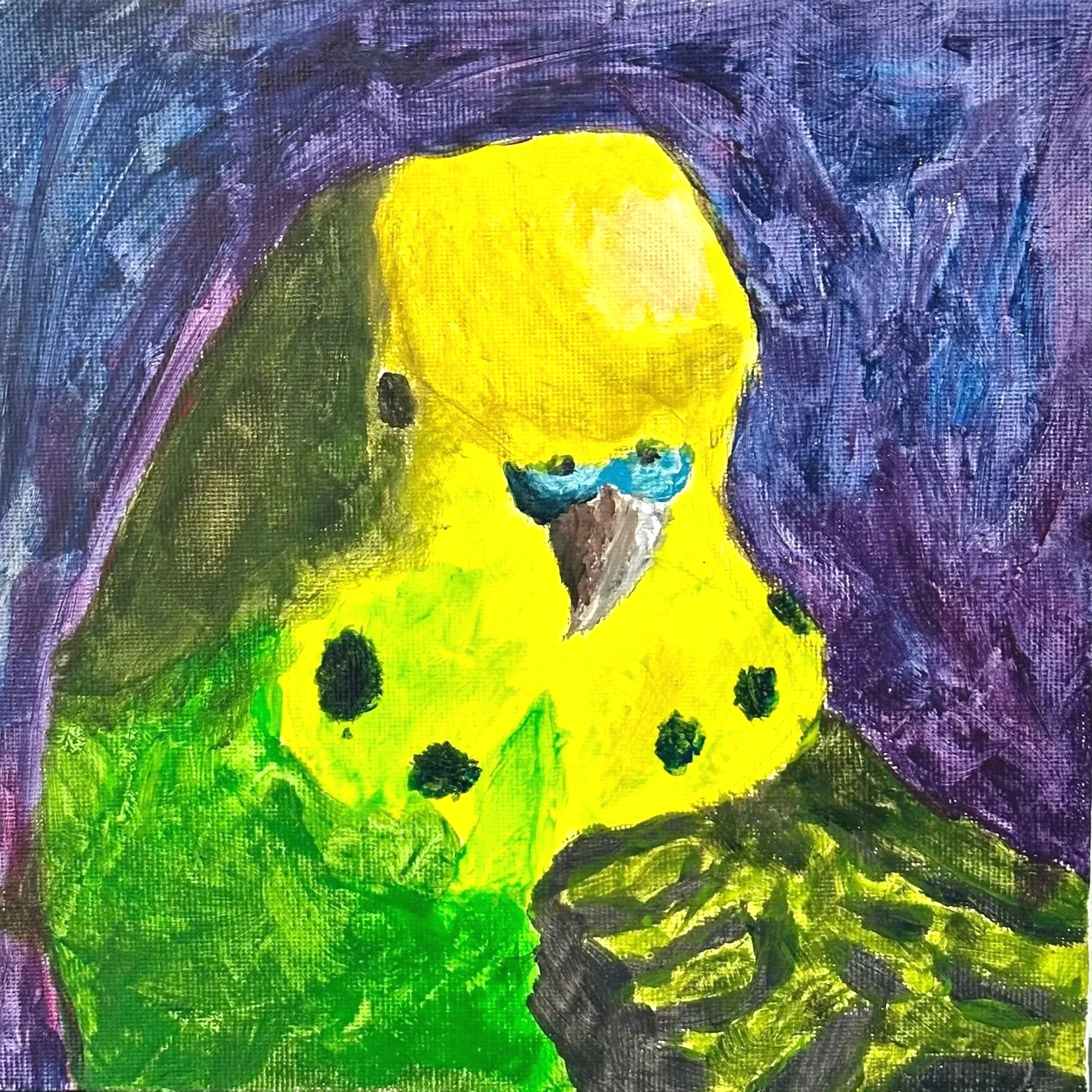 David 12 år