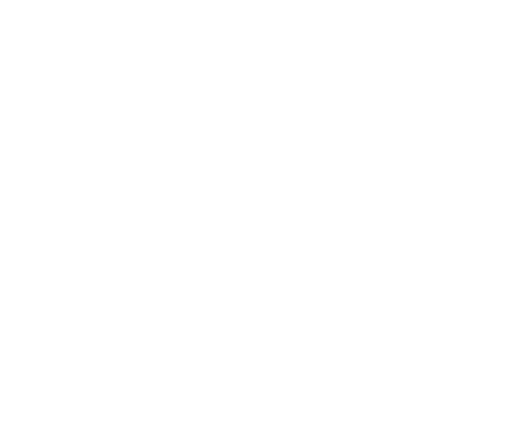 European Council Logo