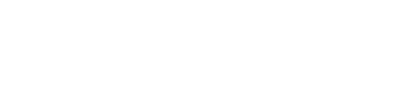 Alan Logo