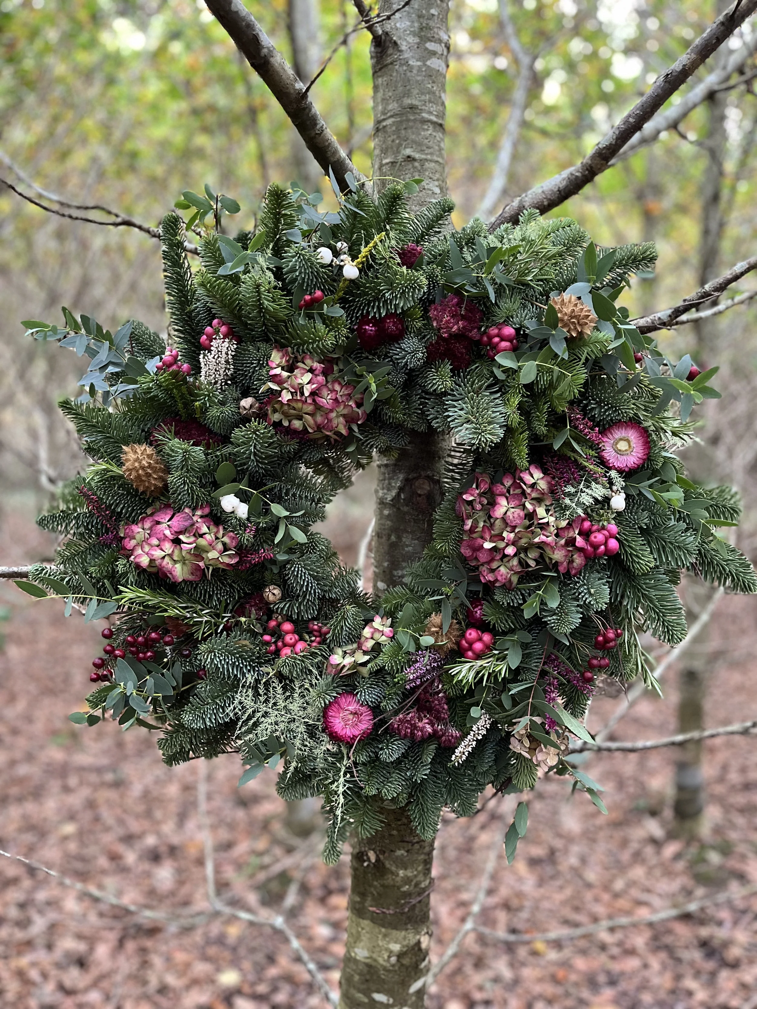 ED226462-4799-414C-9141-571AFEA4A525.JPG (Copy)