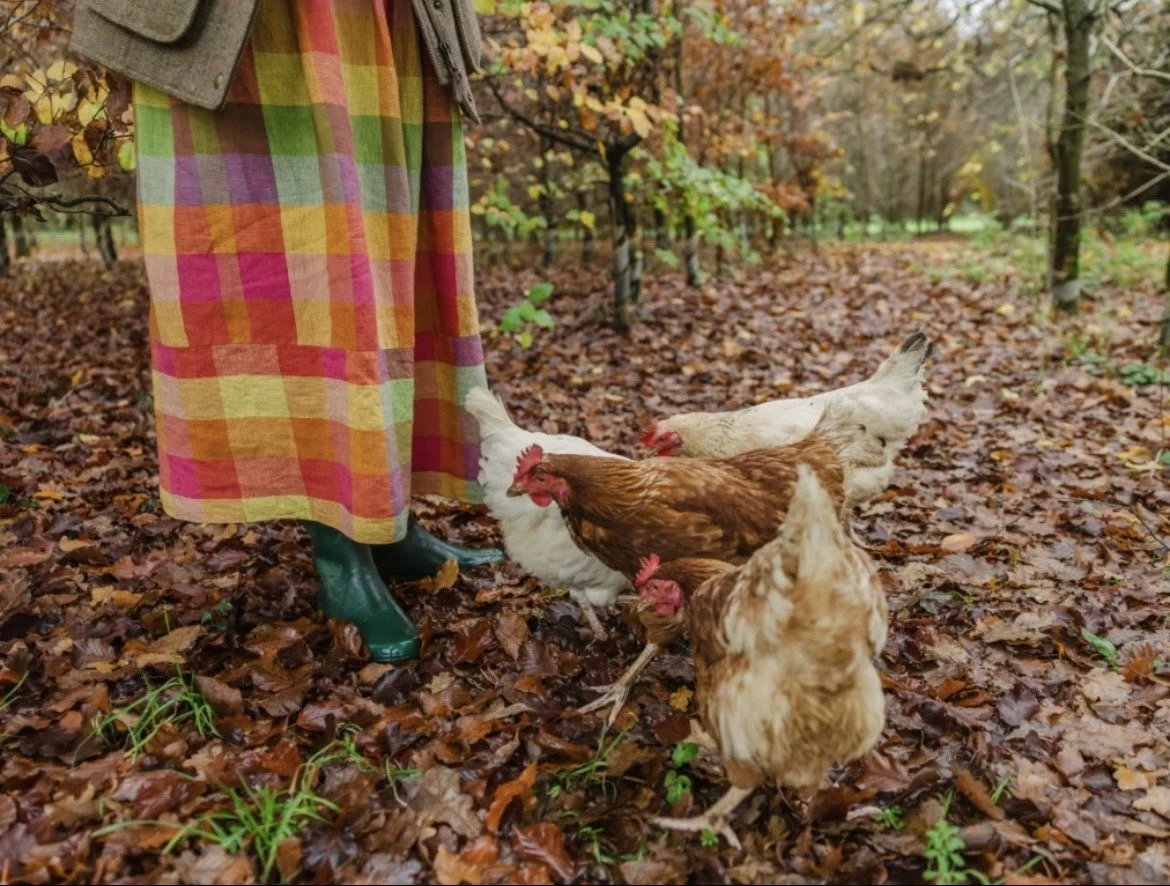 Beginner’s Guide to Keeping Hens - Sun Sept 6th  2026