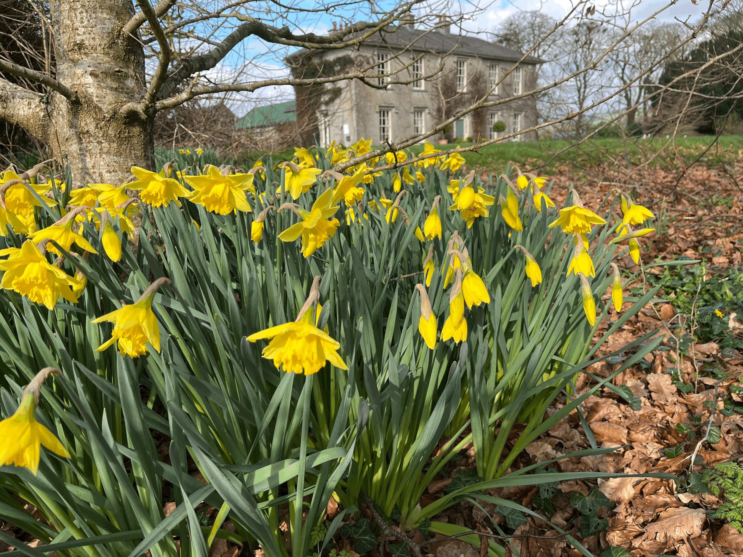 Easter Wreath Making & Tablescape with Rachel O’Connor - Sat March 21st