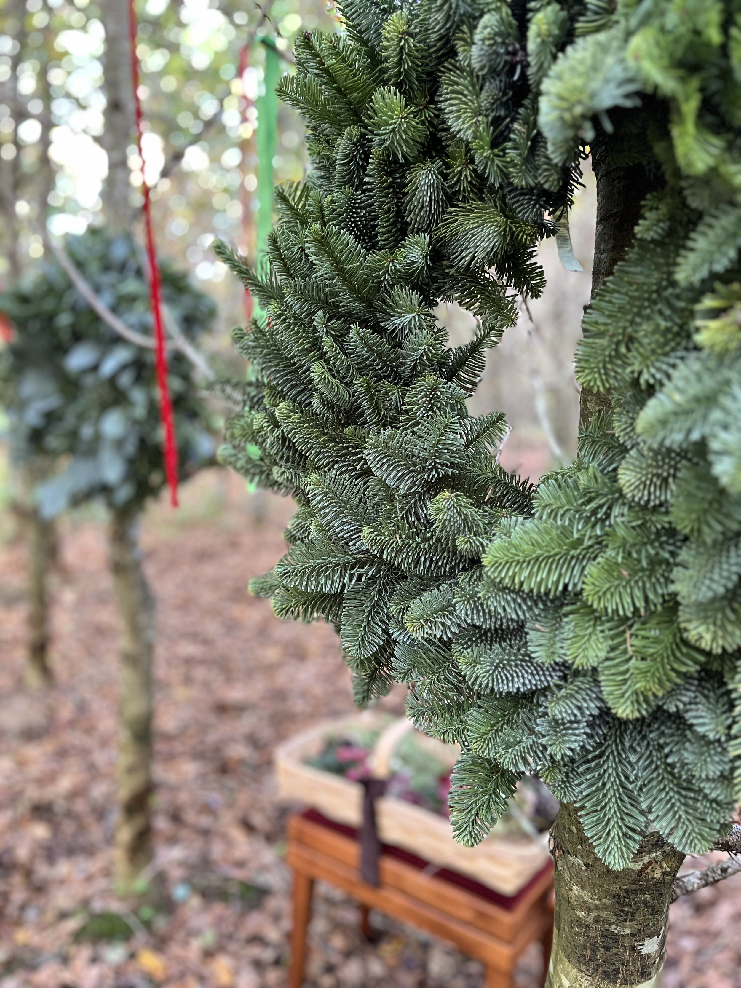 A5B2189C-95B3-4ABB-8979-3DDFCC07DB25.JPG (Copy)