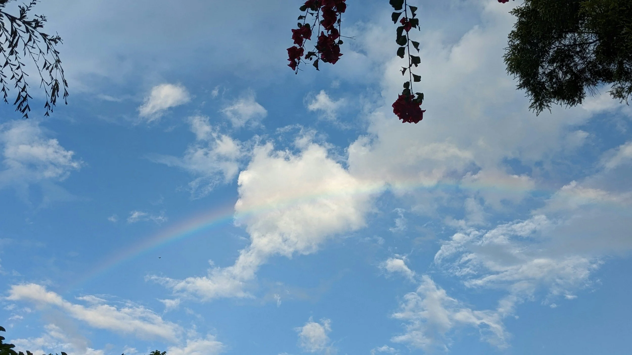 Blue sky with scattered white clouds, a faint rainbow, and tree branches with red flowers and green leaves at the top and sides.