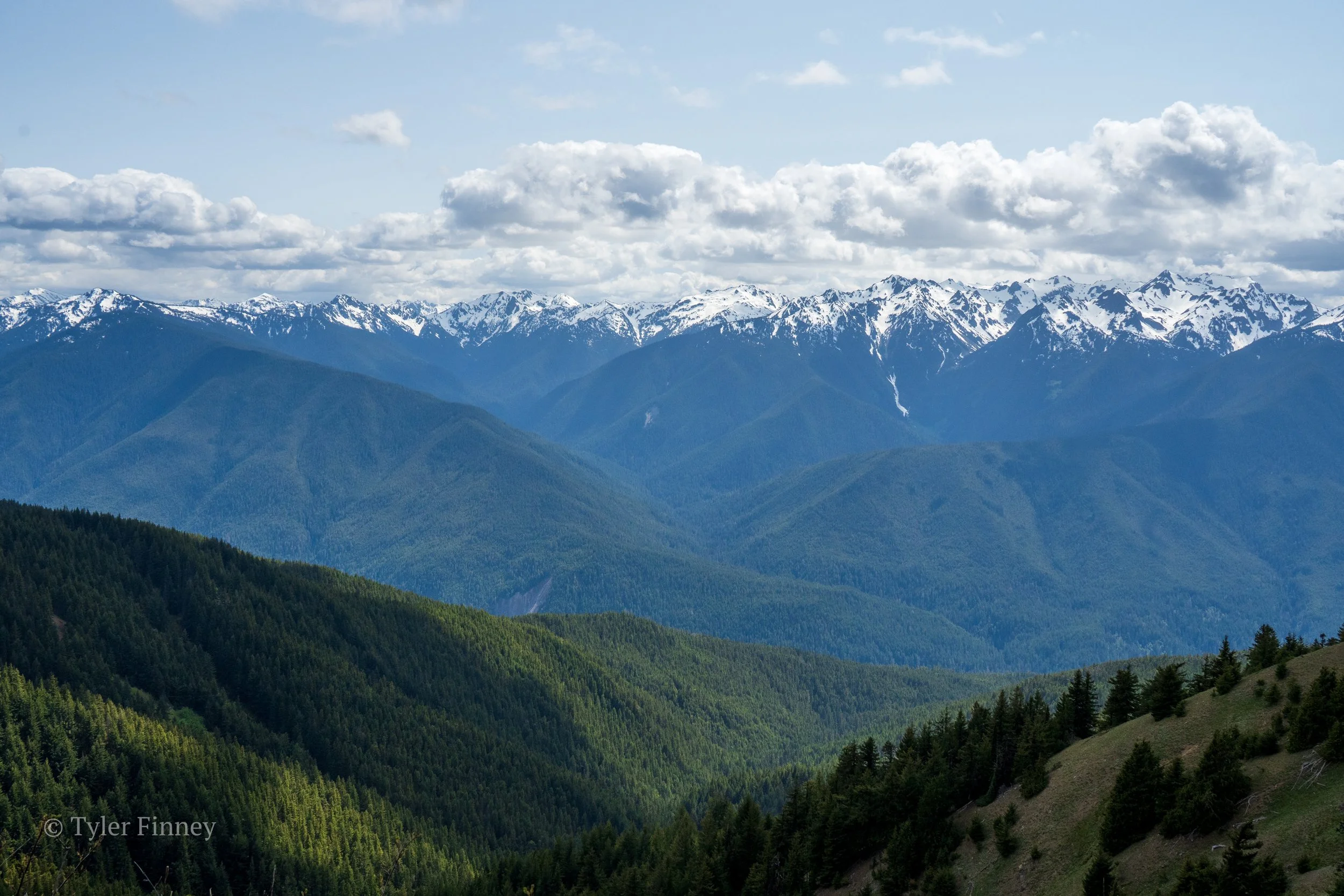 Hurricane Ridge-05.jpg