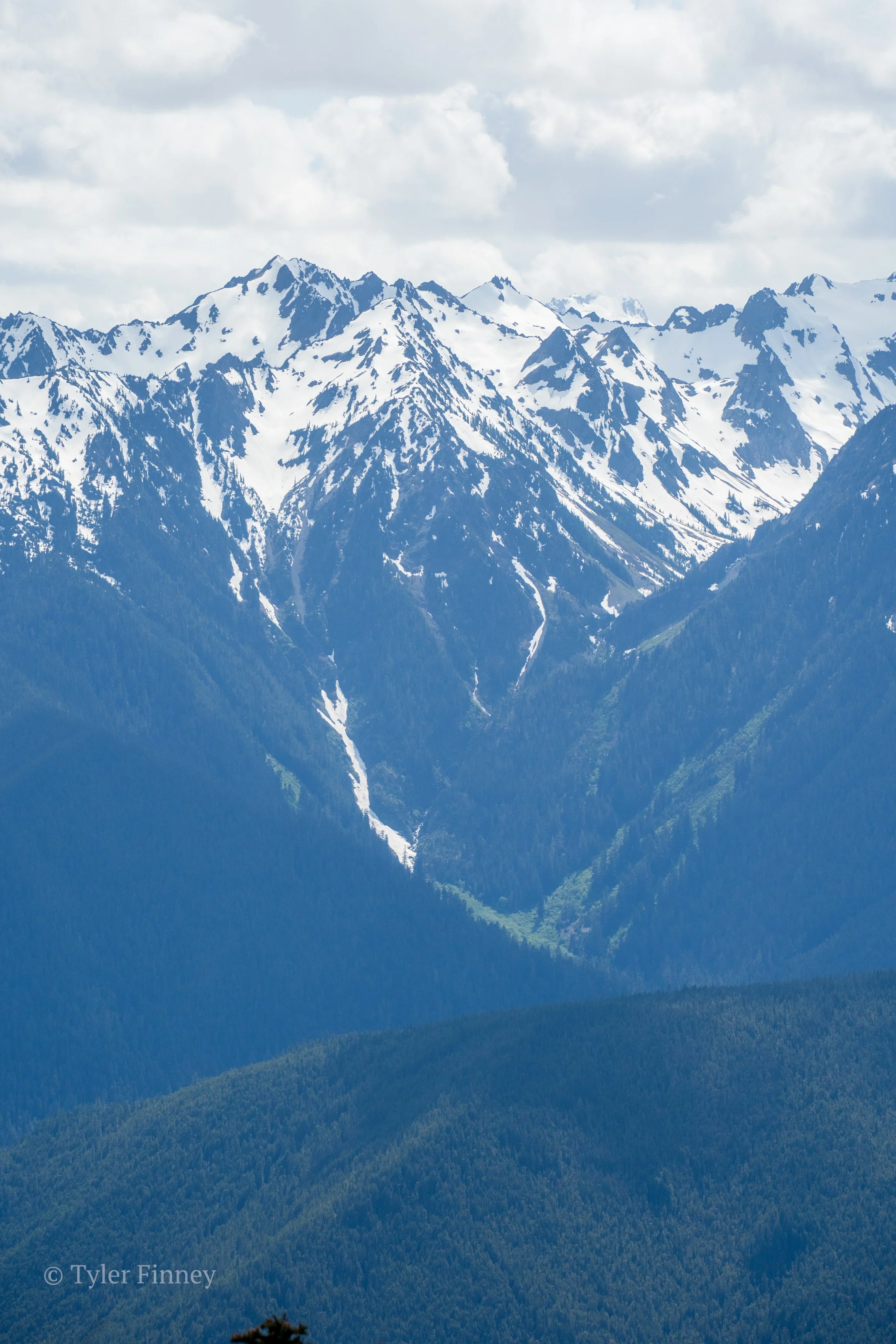 Hurricane Ridge-07.jpg