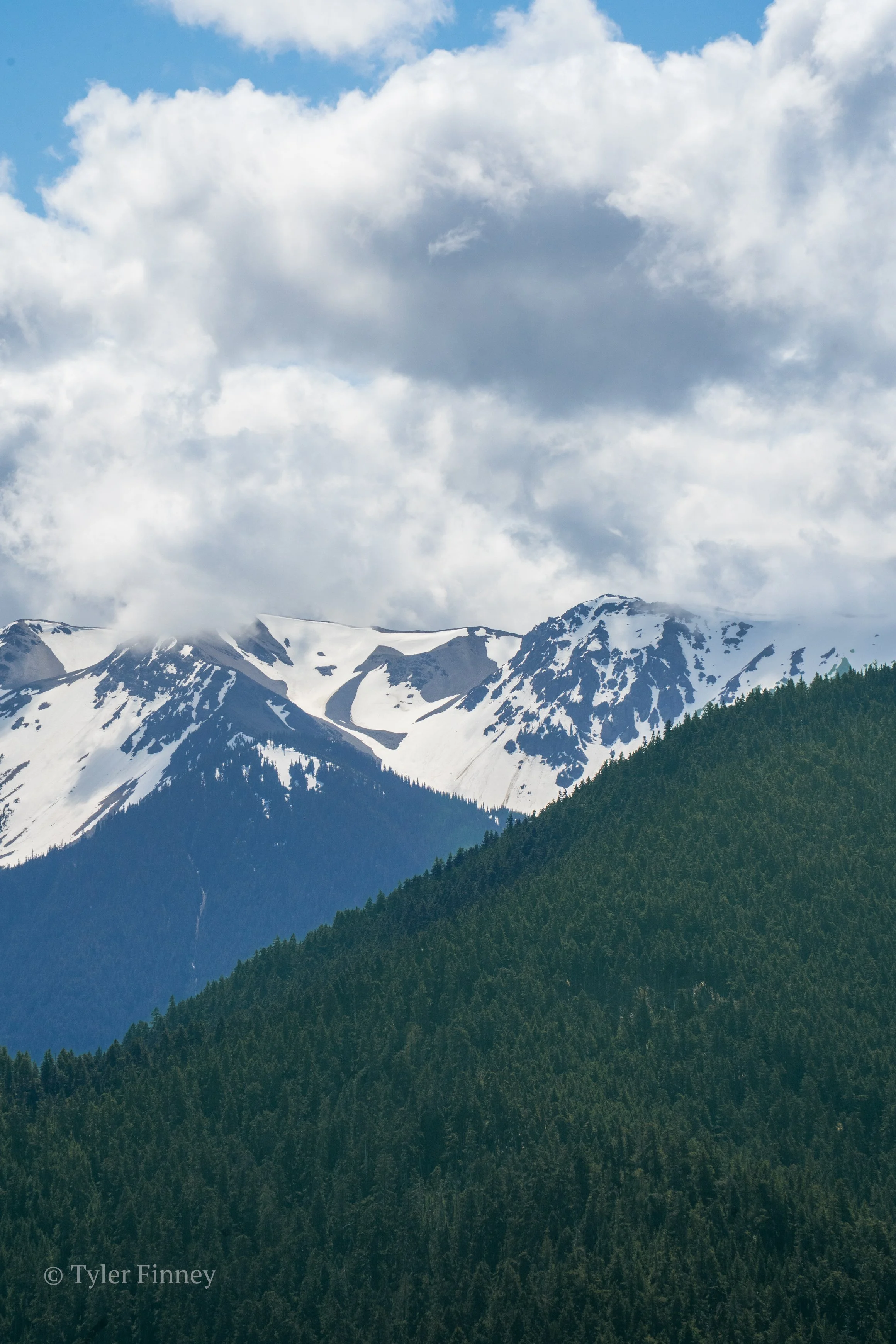 Hurricane Ridge-11.jpg