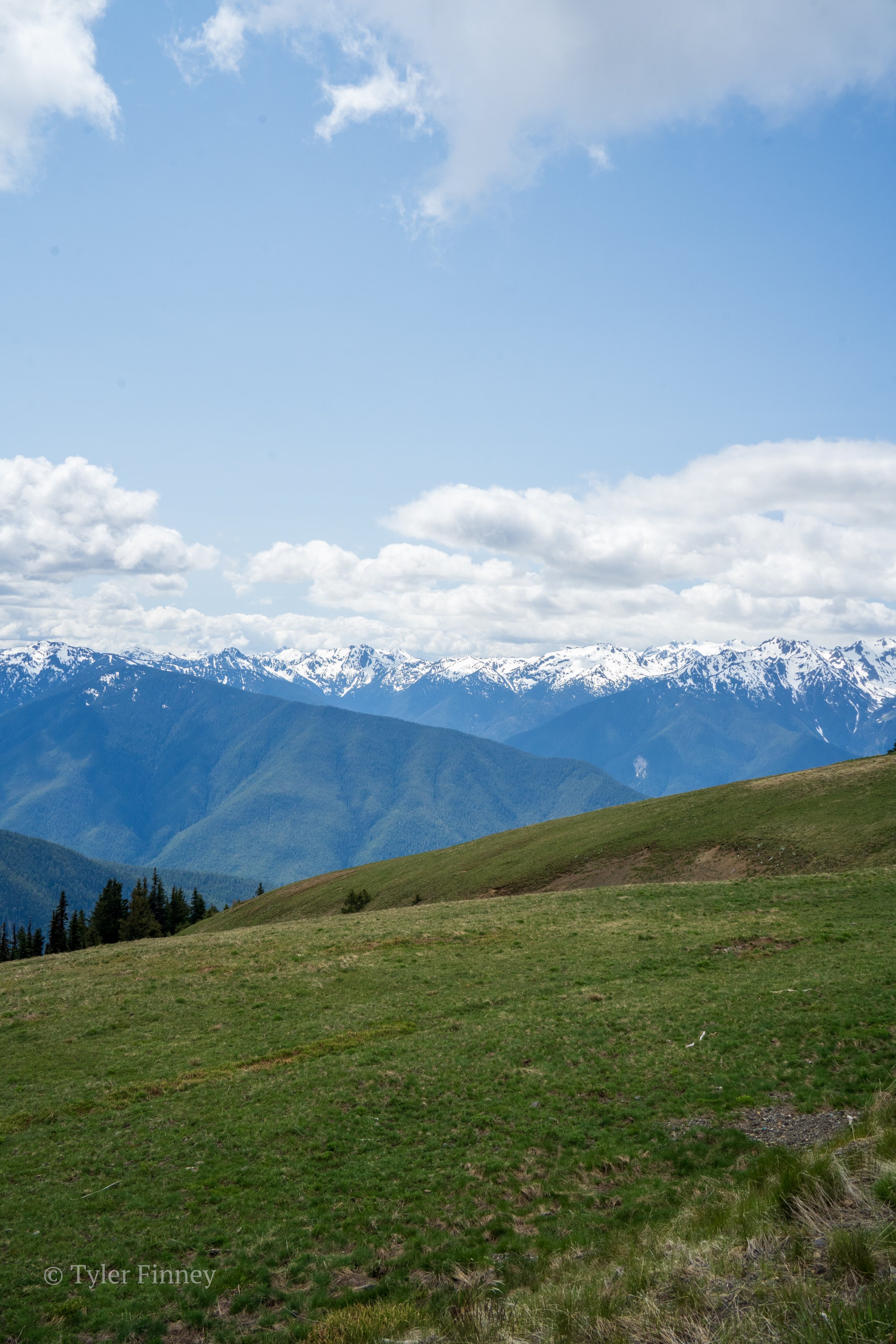 Hurricane Ridge-10.jpg