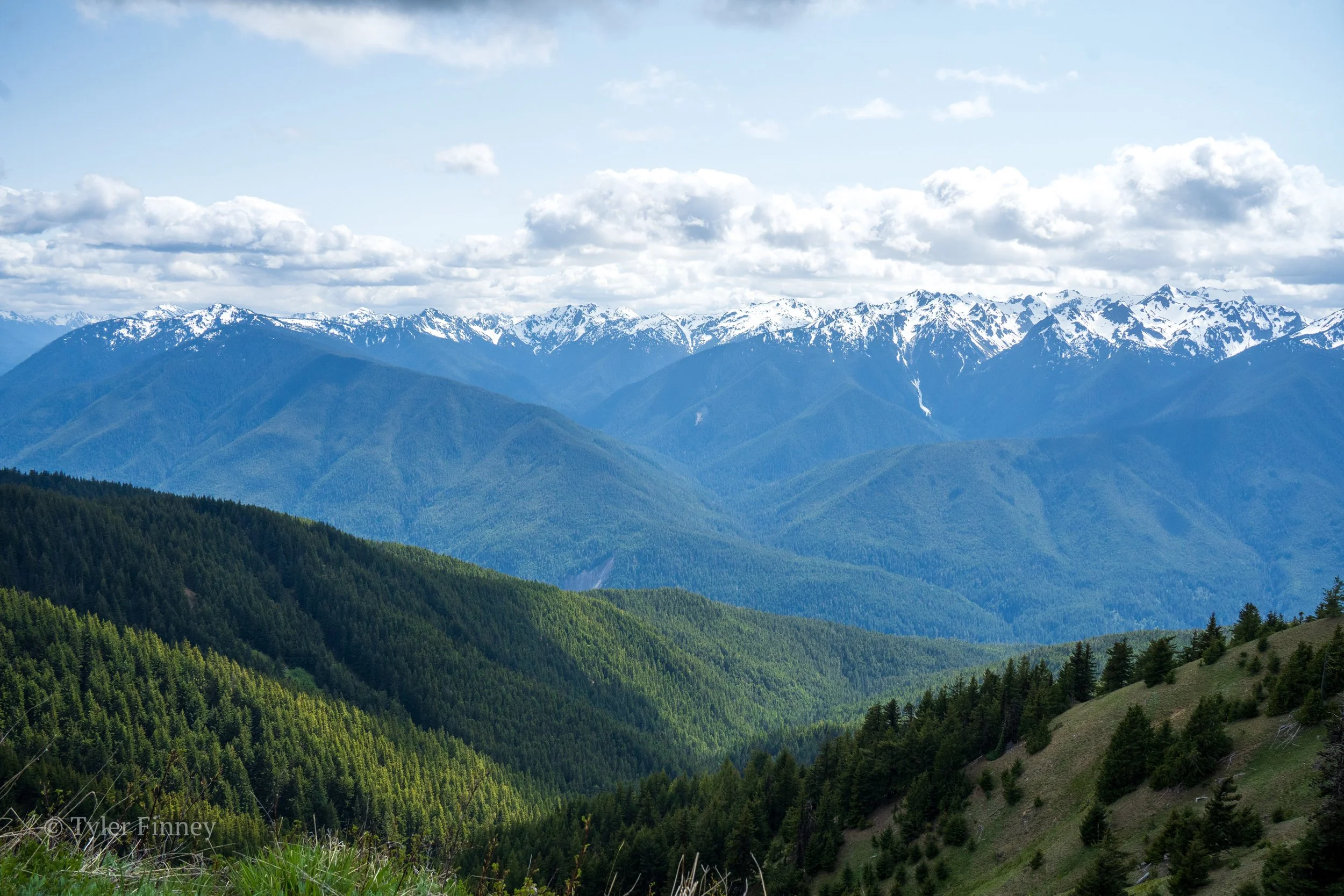 Hurricane Ridge-06.jpg