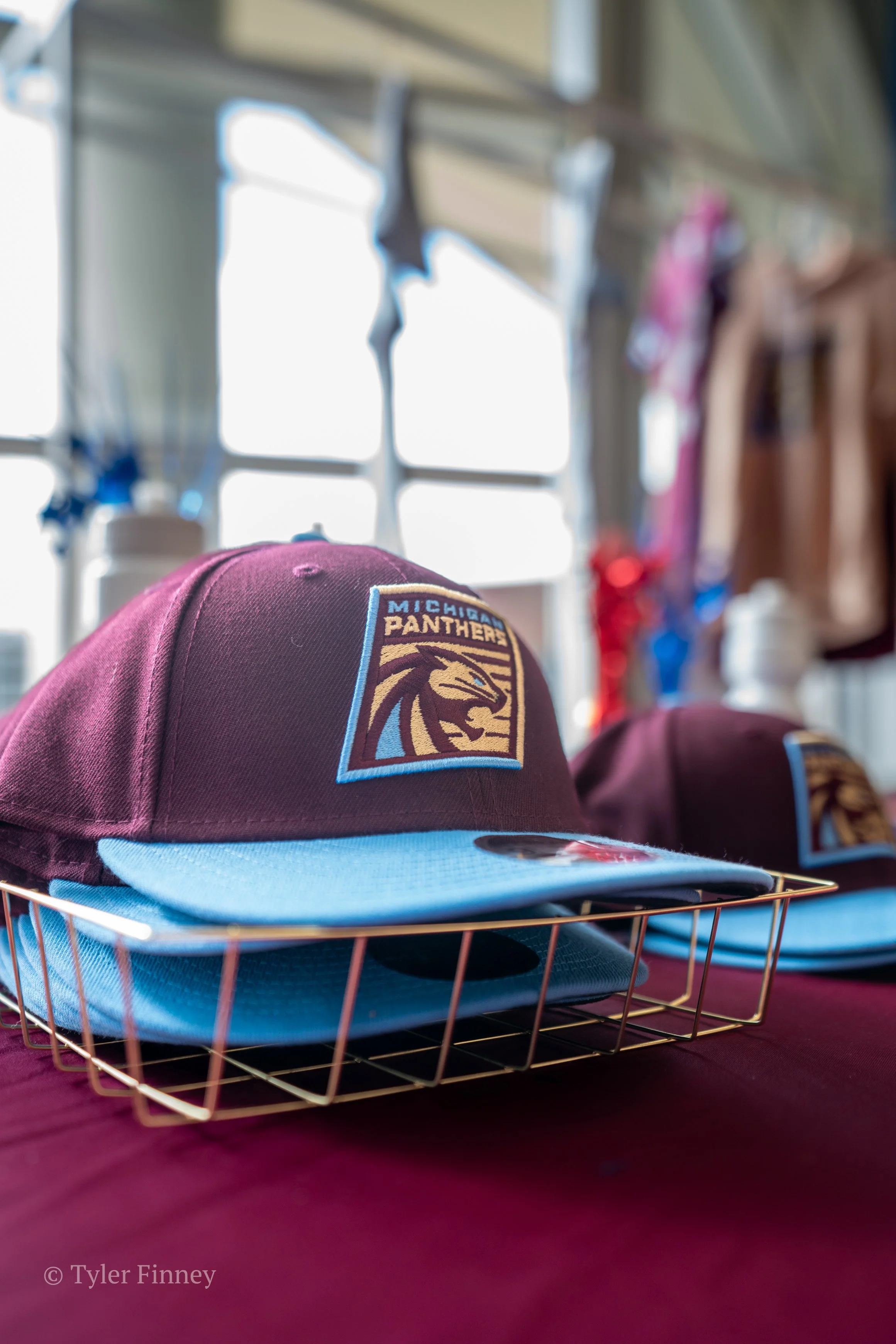 Michigan Panthers-01.jpg