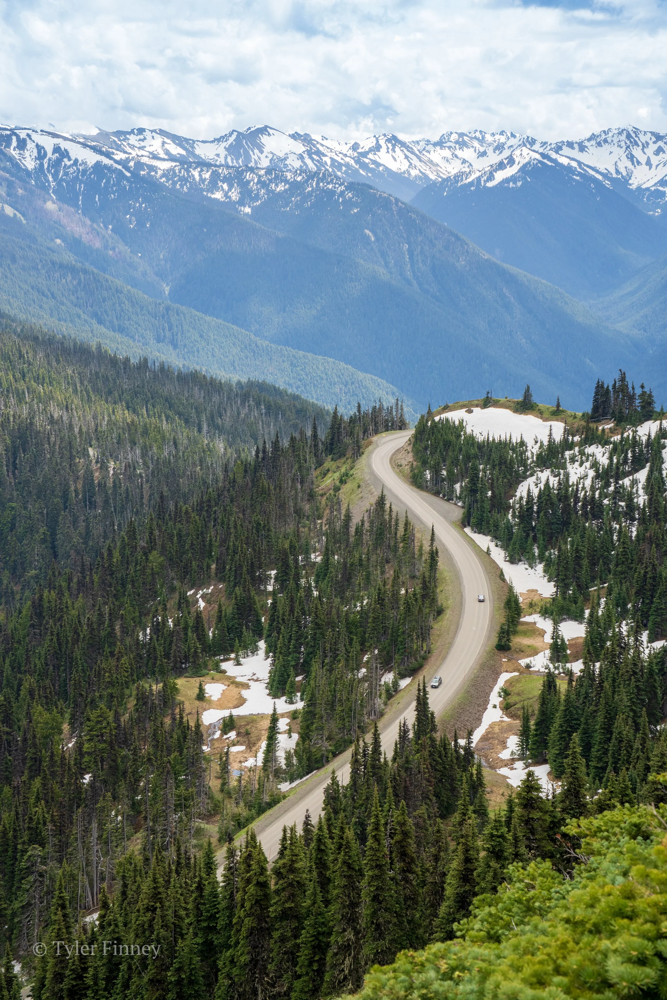 Hurricane Ridge-08.jpg