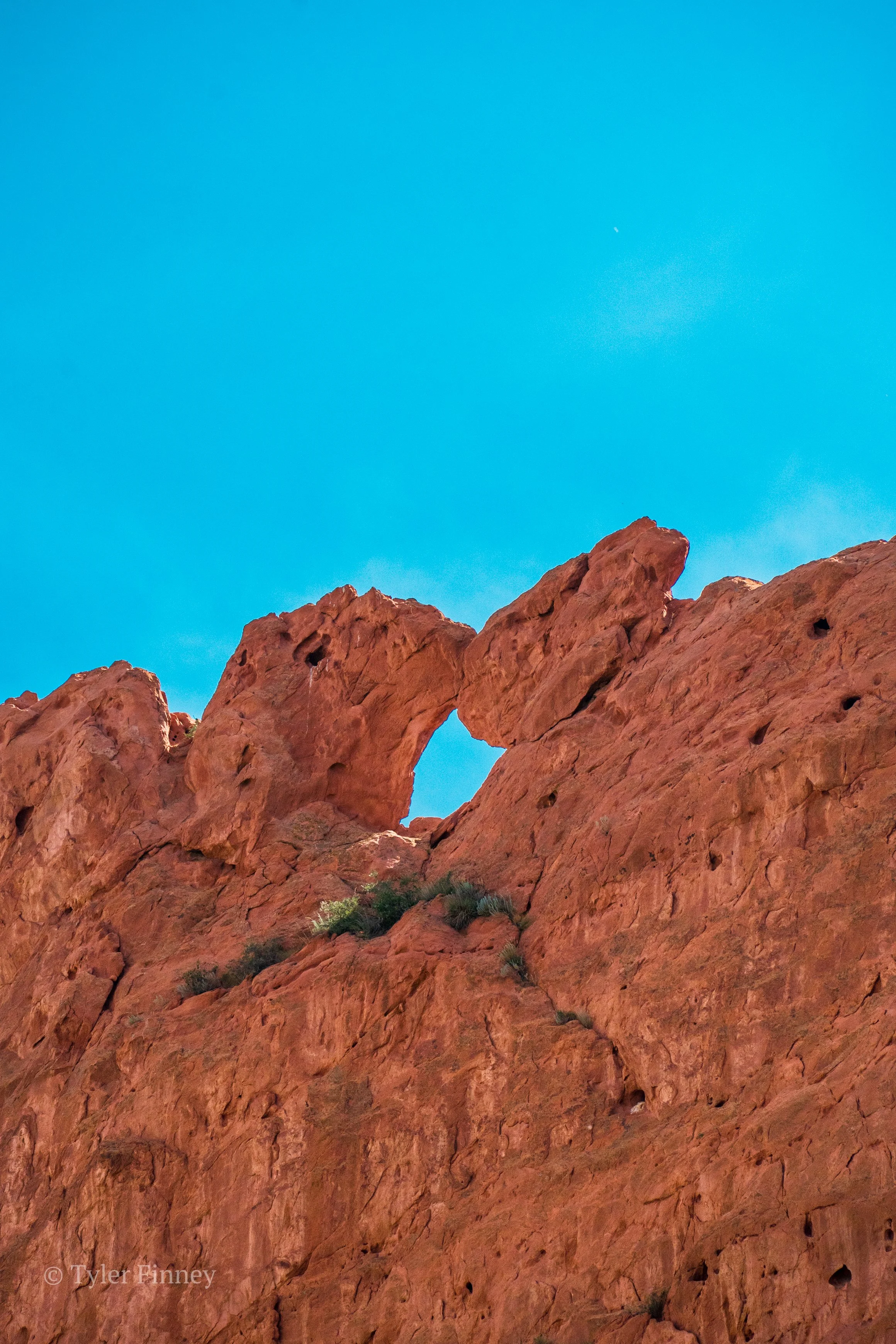 Garden of the Gods-1.jpg