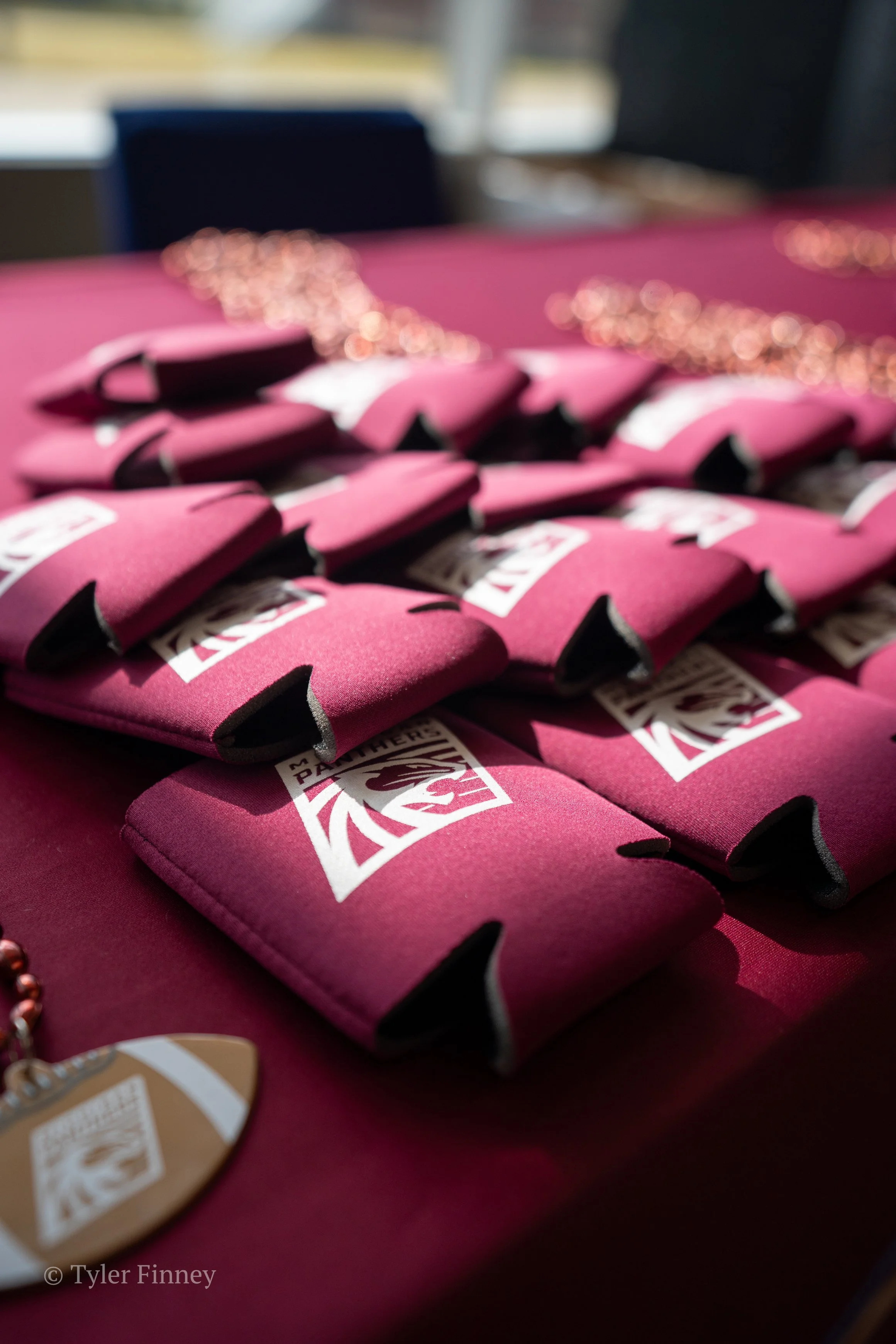 Michigan Panthers-03.jpg