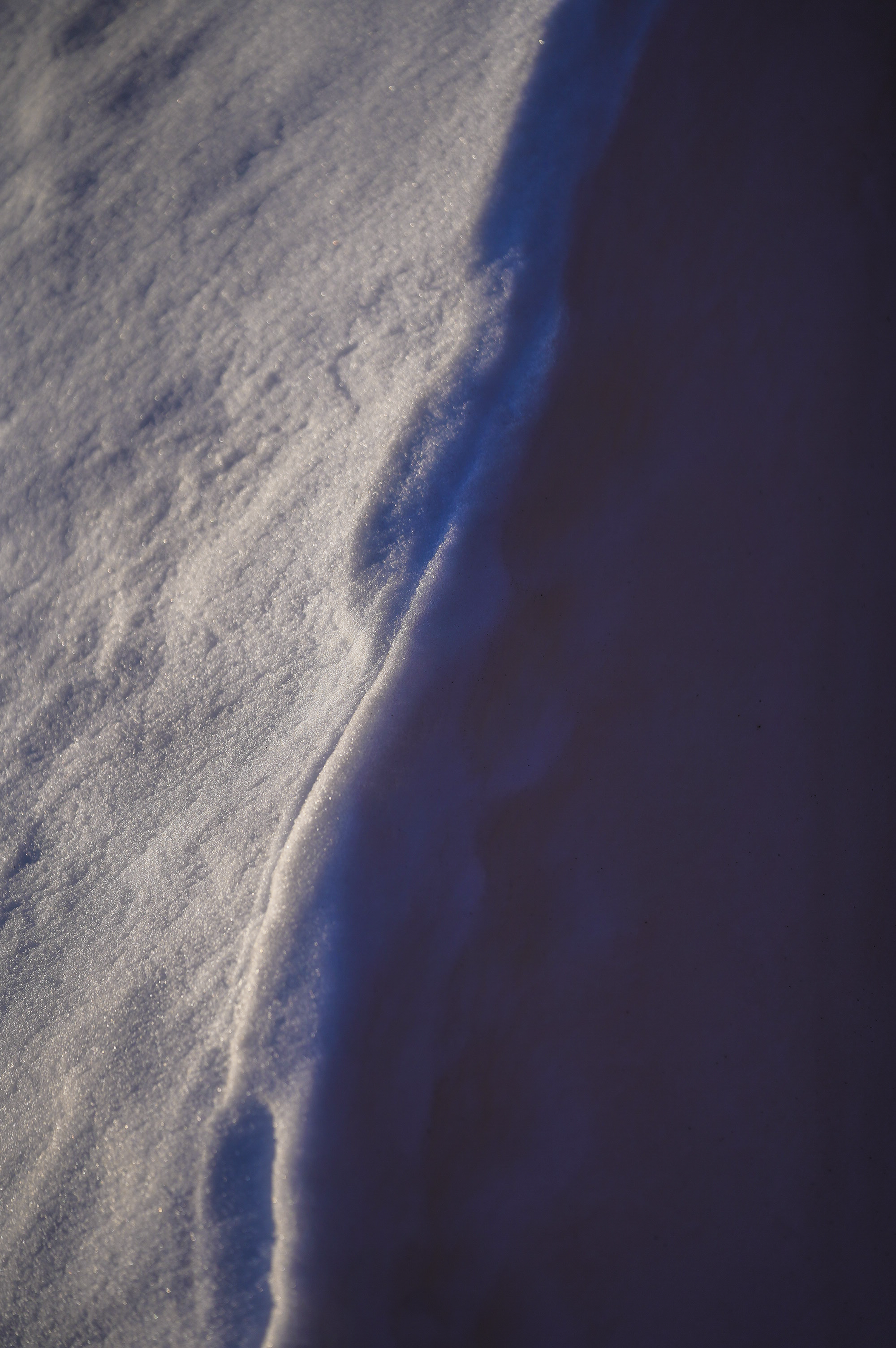 Slice of Earth.png