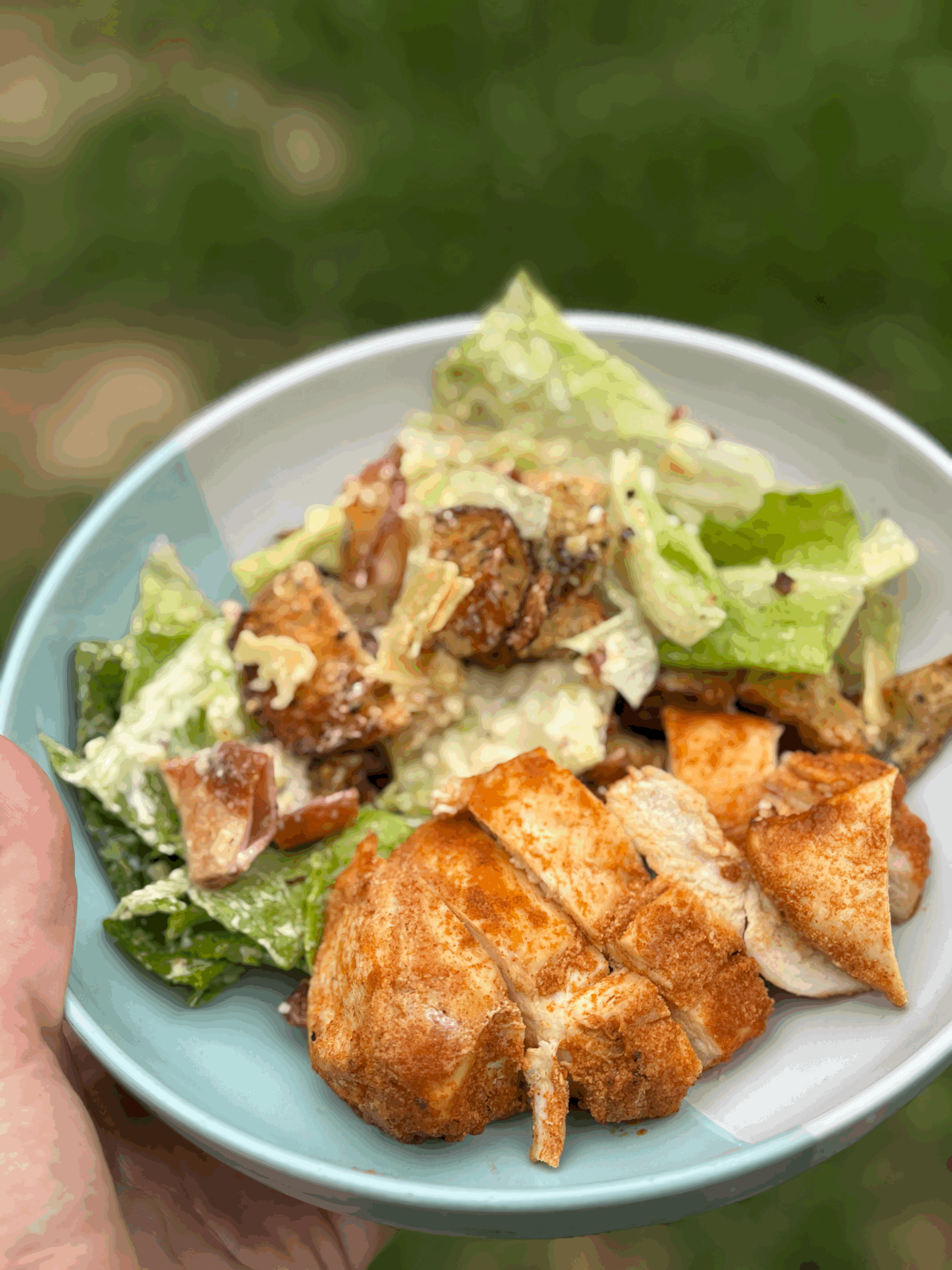 Chicken Caesar Style Salad 