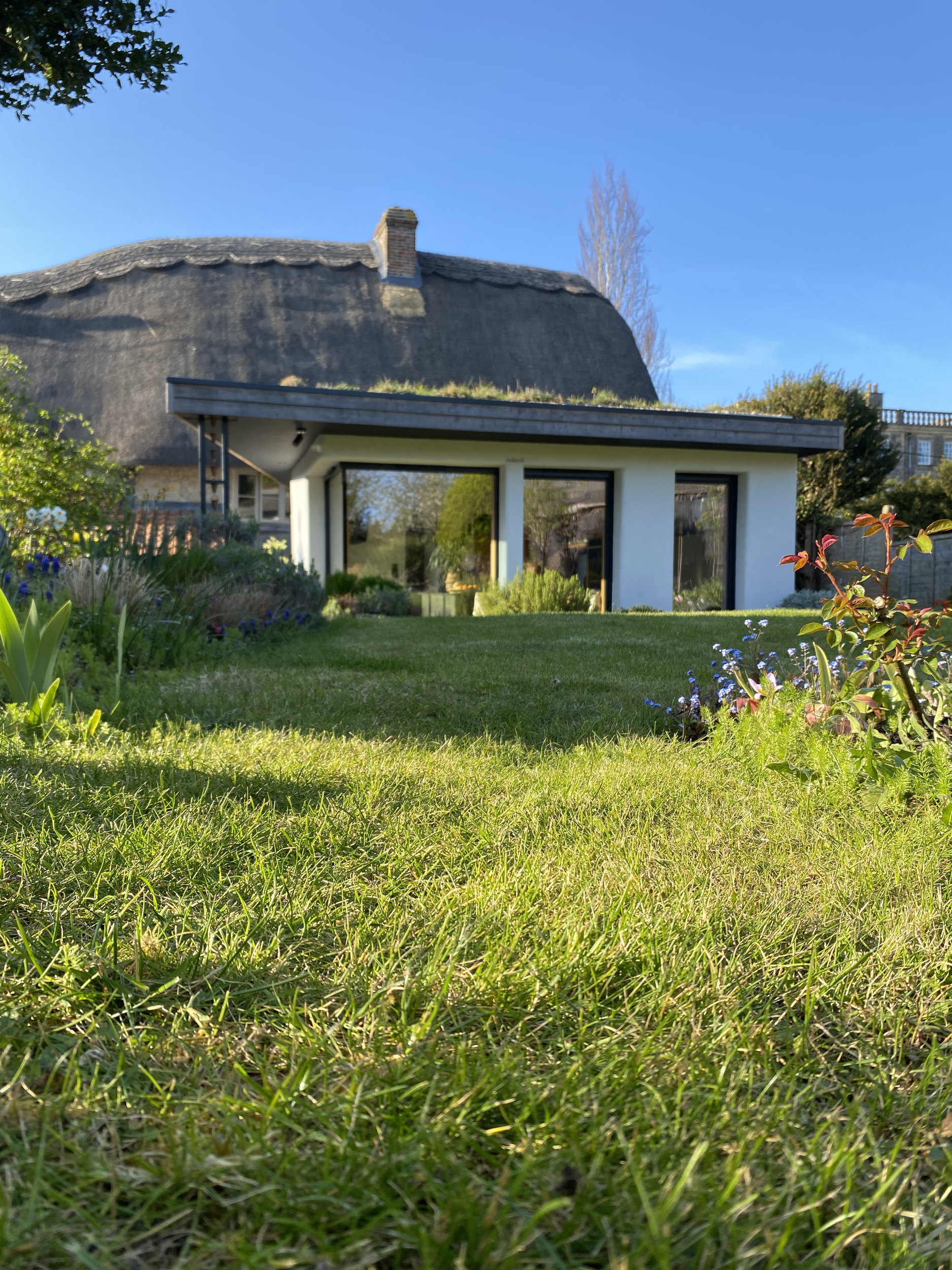 A modern house with a thatched roof and large glass windows, surrounded by lush green grass and bushes, with clear blue sky in the background.