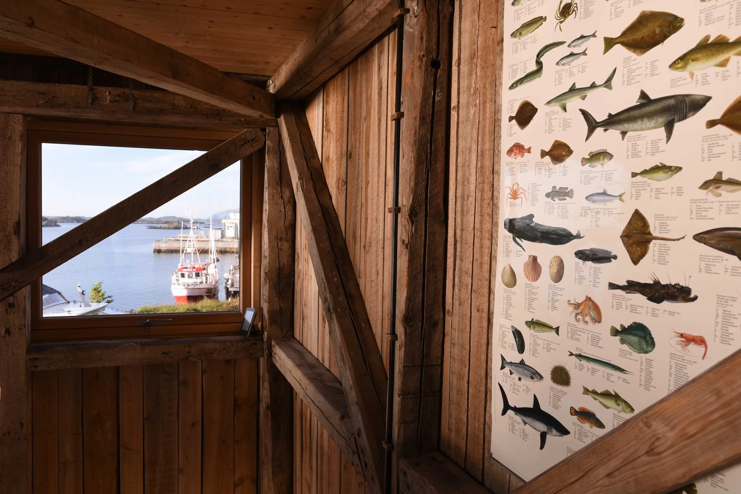 Synlig rustikke vegger på restaurert sjøbu/feriehus med fiskekart på veggen.