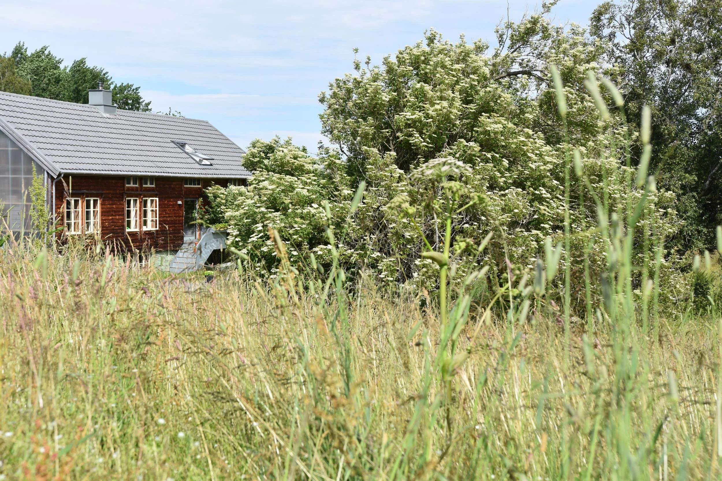 Gamlehuset med empiriske vindu sett fra attlege.