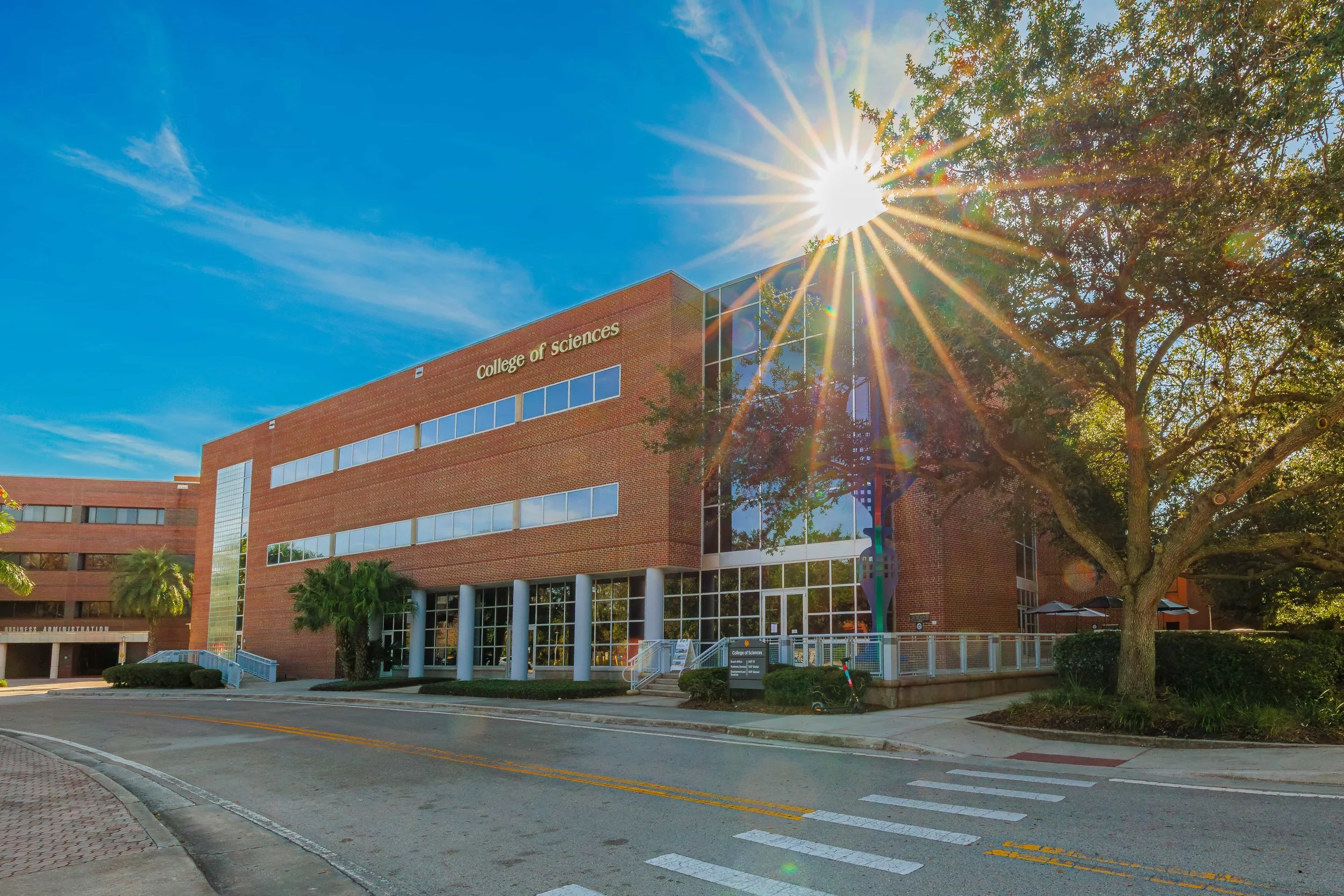 A brick building with a sign that reads "College of Sciences" is shown under a bright sunny sky, with sunlight creating lens flare and a tree on the right side.