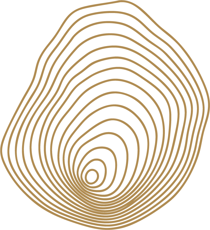 A close-up illustration of a tree's age rings with beige lines on a black background.