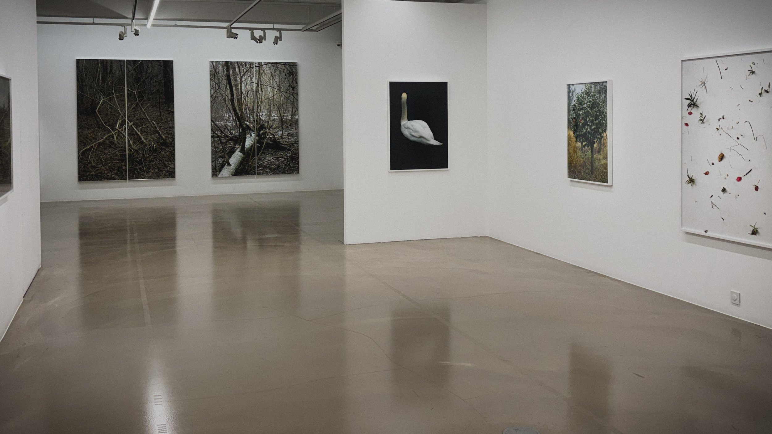 Gallery Baton - Seoul