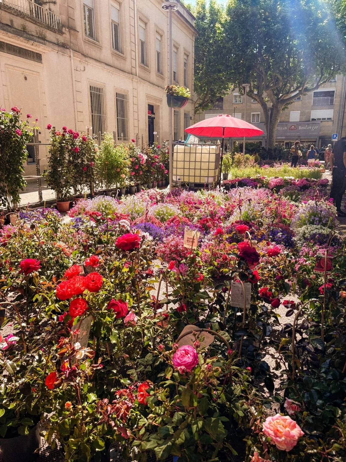 Flower Fair, Tarascon