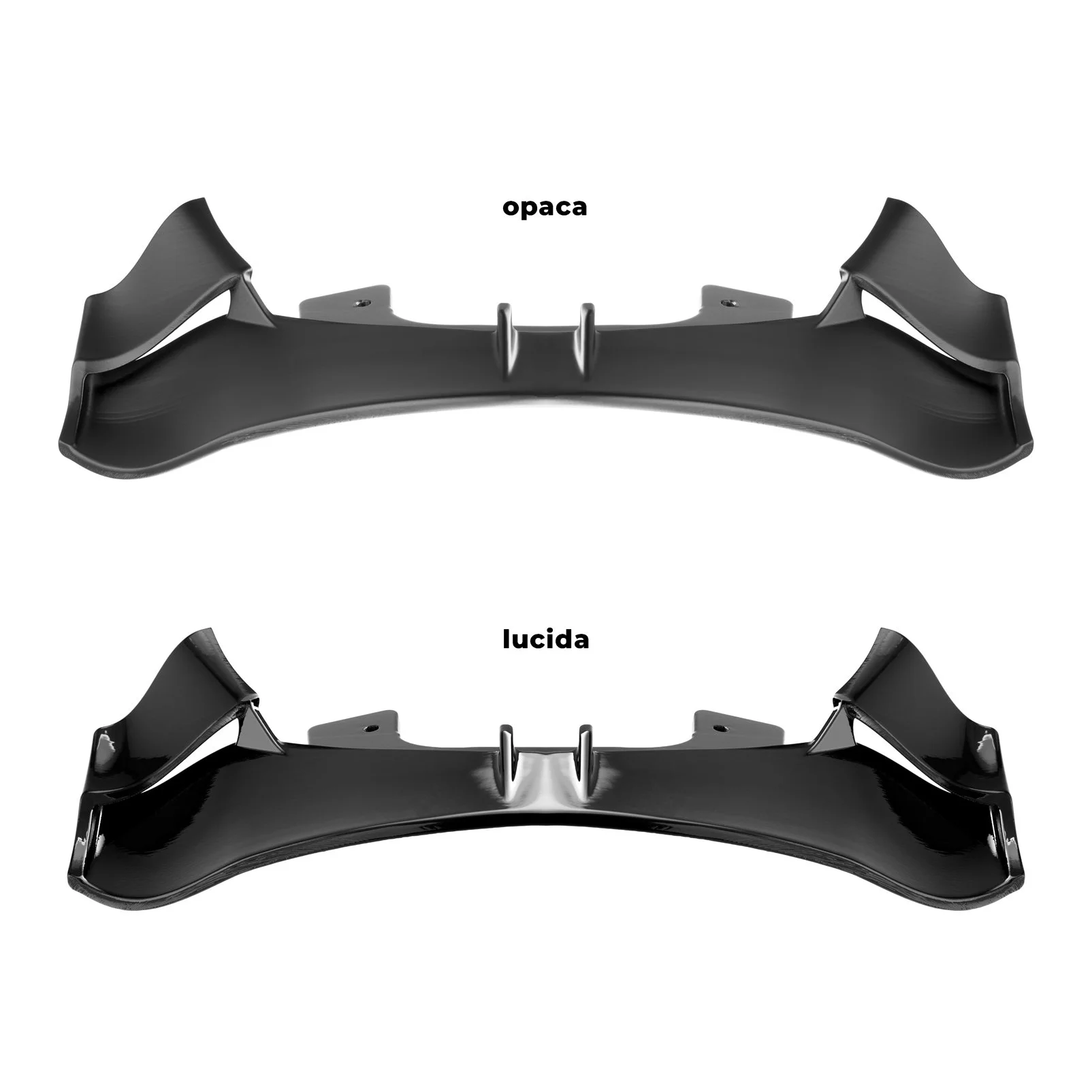 coppia_DSC7116 copy.jpg