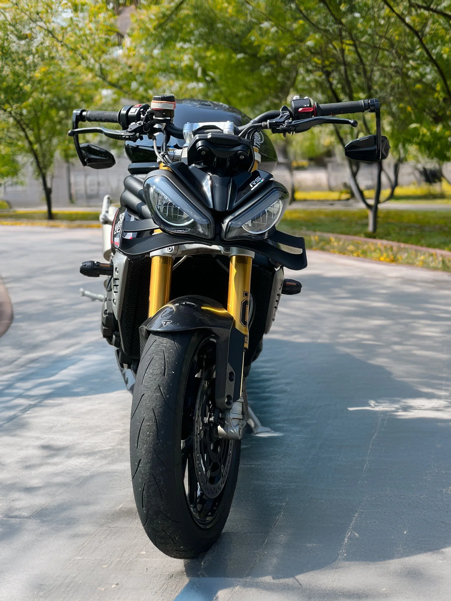 Ala frontale Triumph Speed 1200