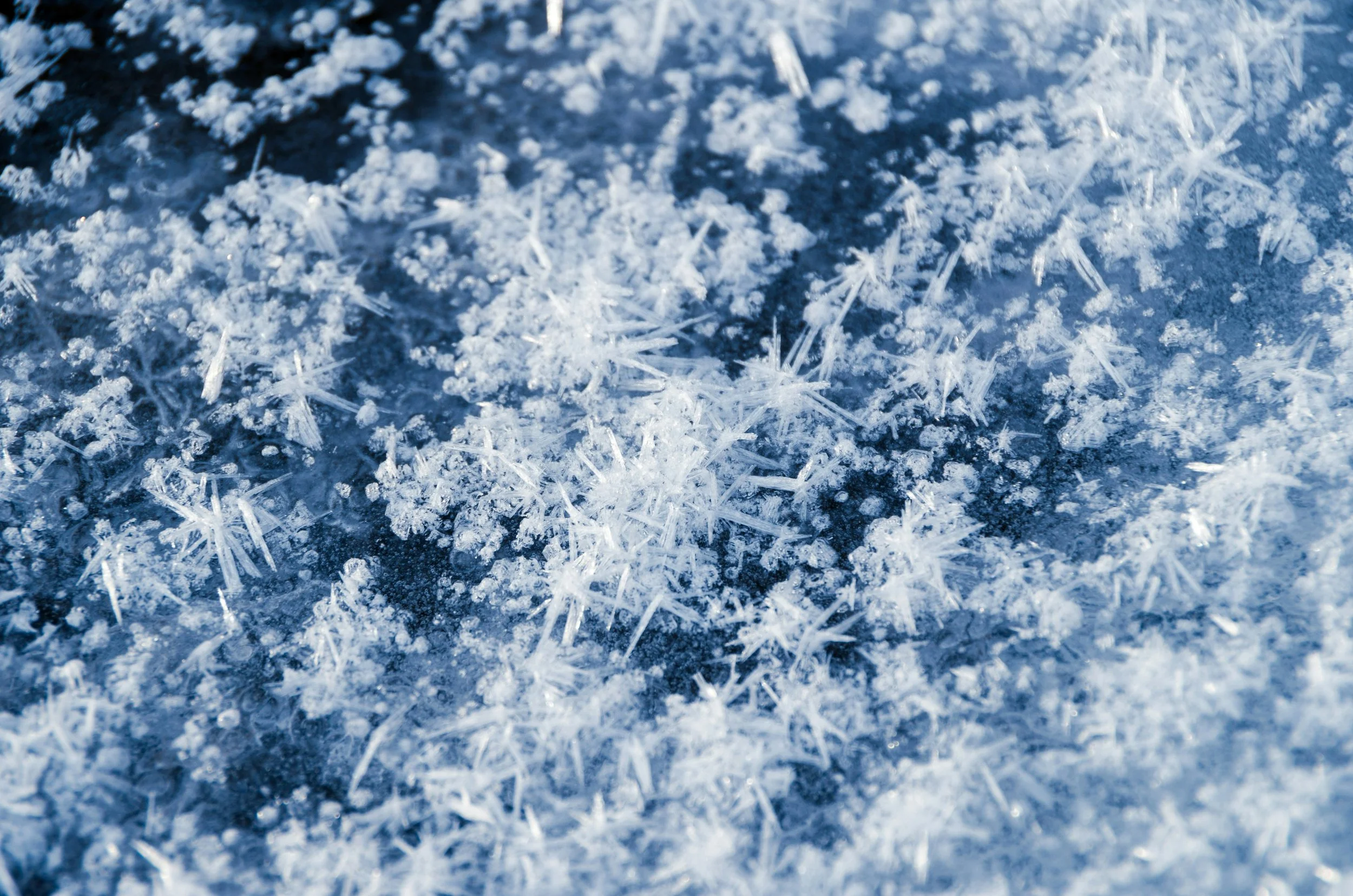 Gefrorene Schneeflocken auf einer dunklen Oberfläche