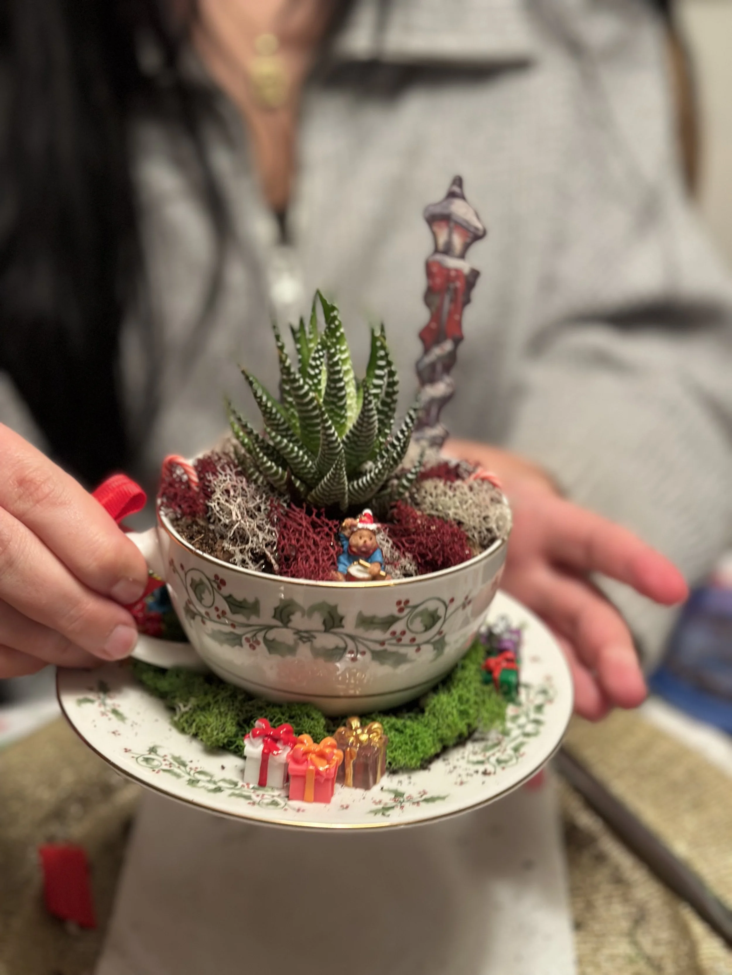 Holiday tea cup gardens
