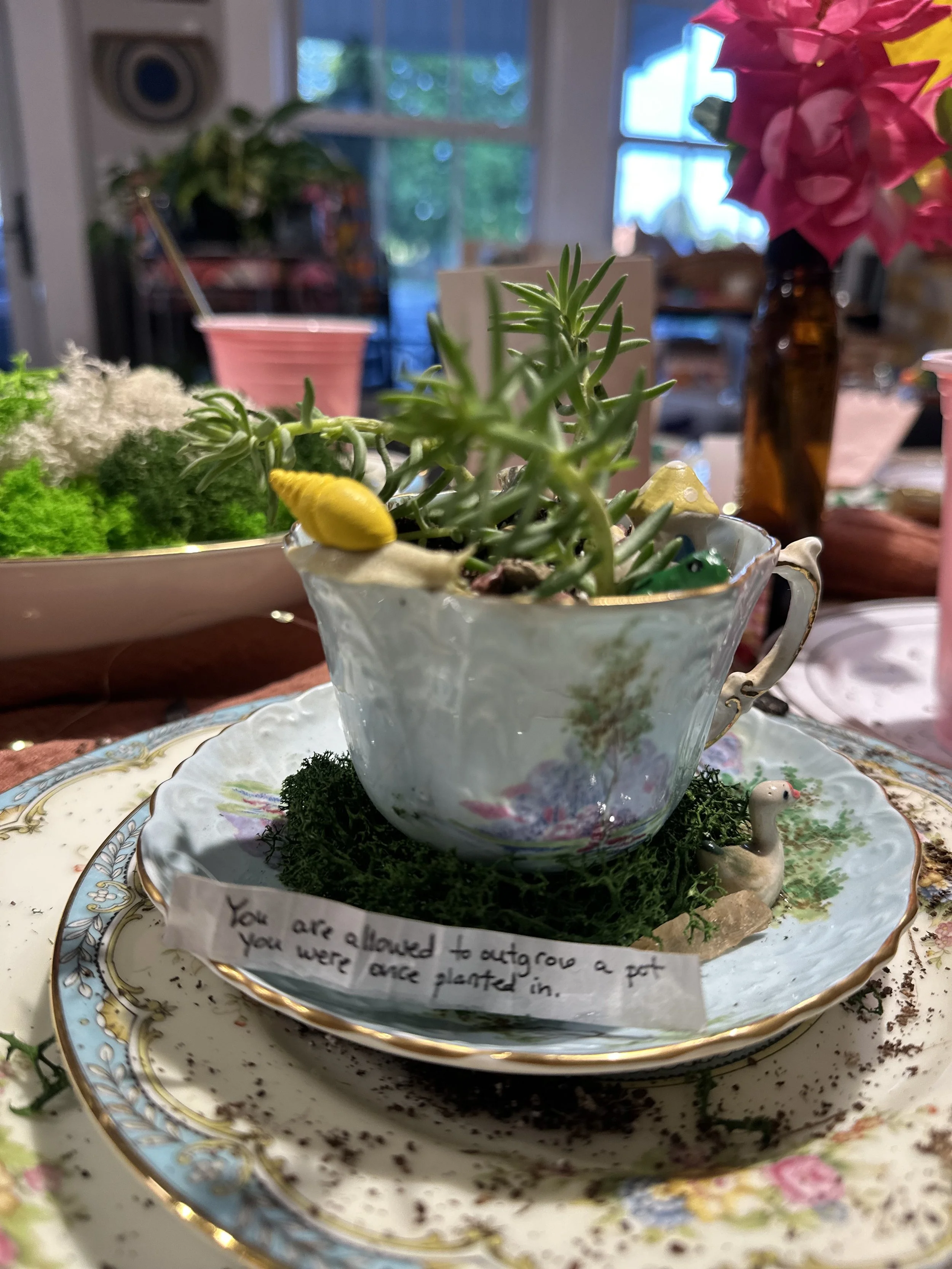 Vintage Tea Cup Gardens